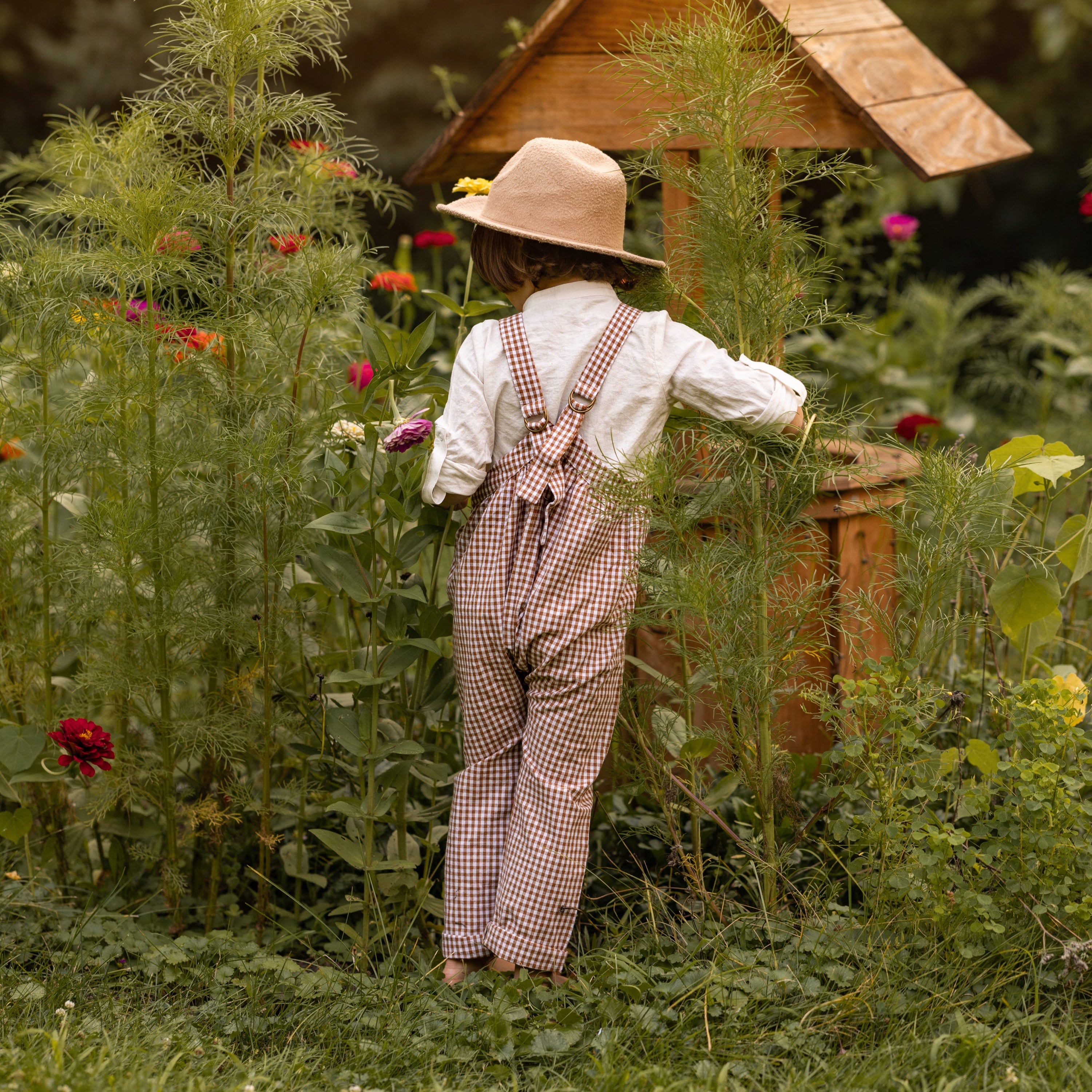 Little boy in vintage-inspired brown checkered pants and white shirt standing in a garden with a wooden shed in the background