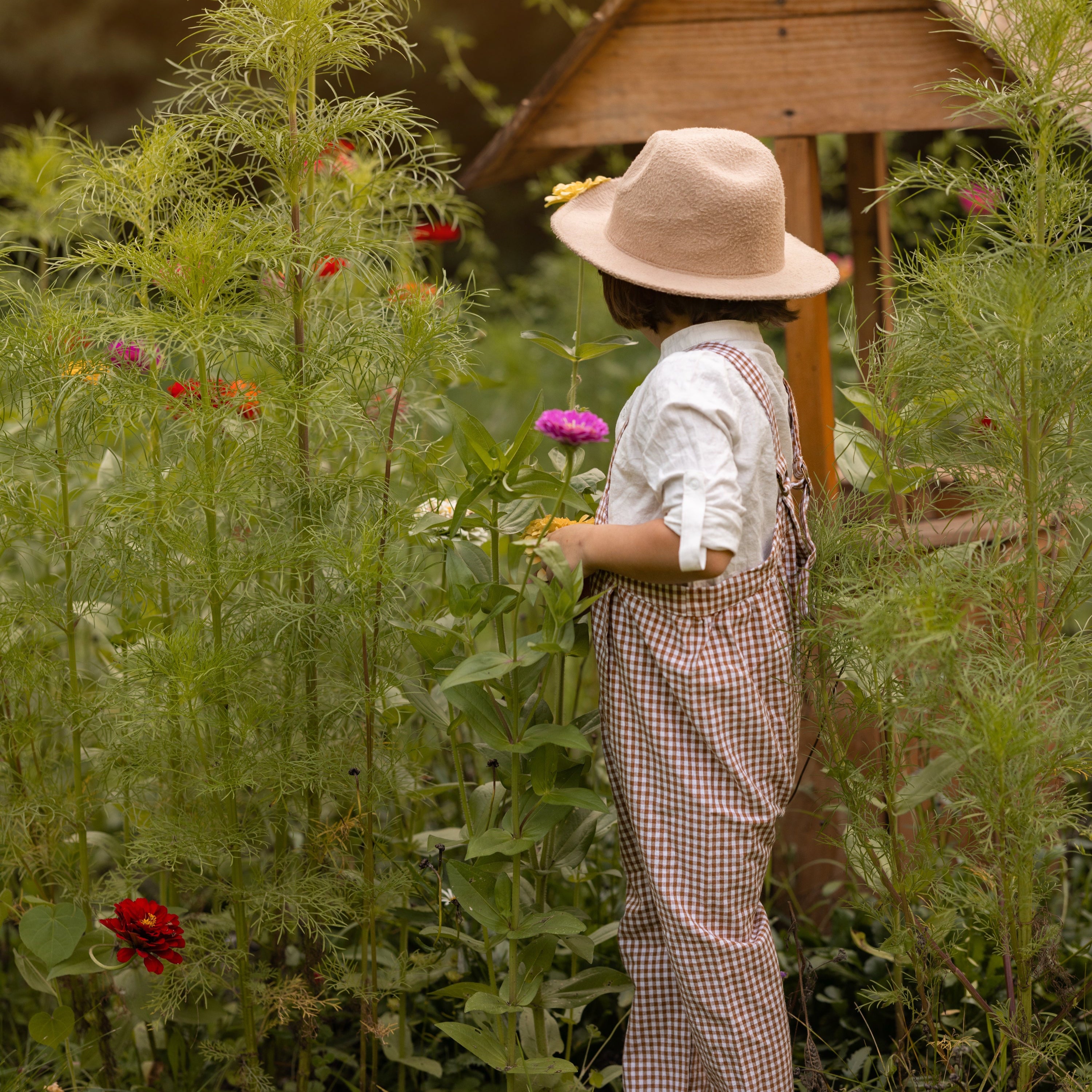 Little boy in a hat and overalls standing in a garden with a wooden structure in the background wearing brown gingham overalls and a white shirt.