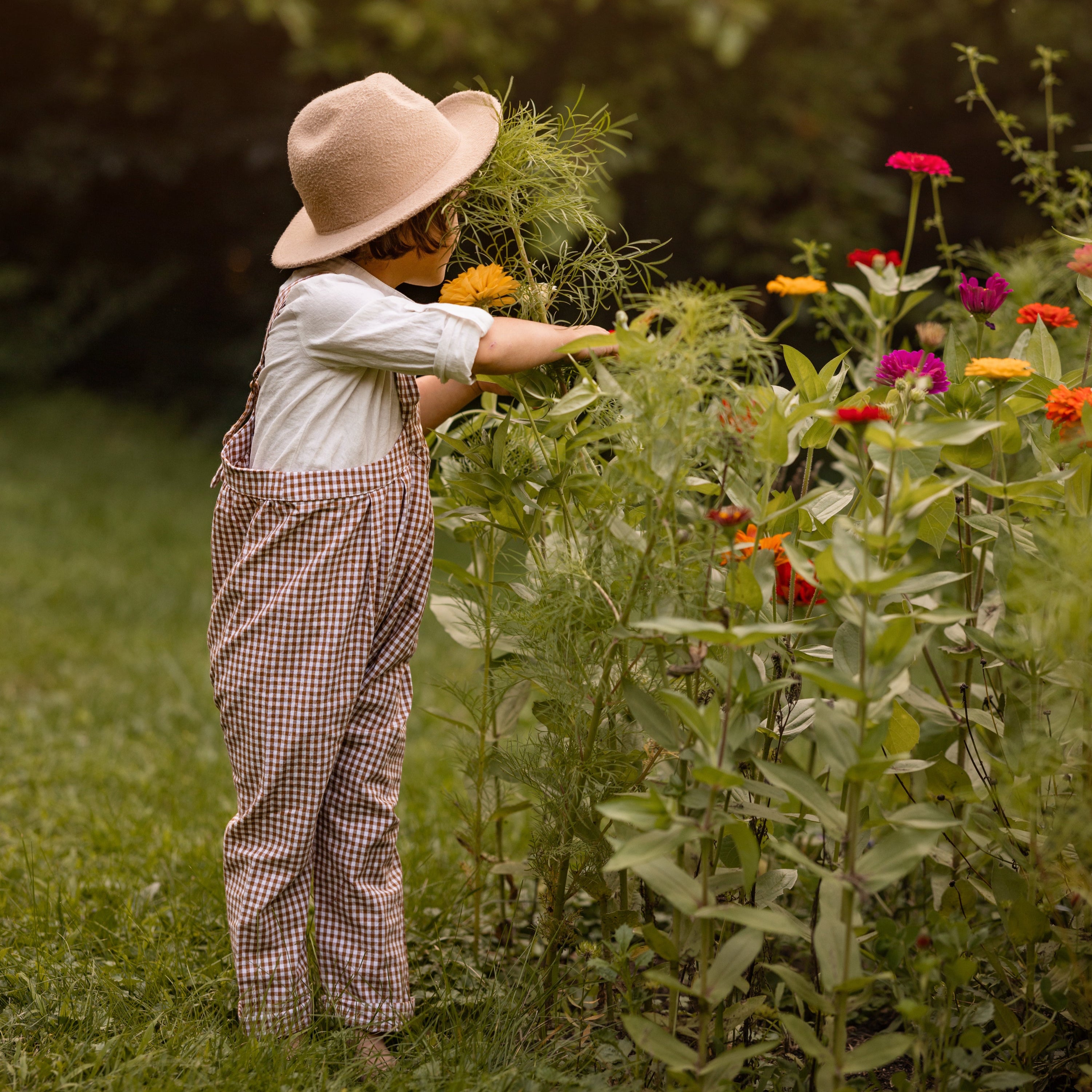 Little boy wearing a hat and brown gingham overalls tending to flowers in a garden