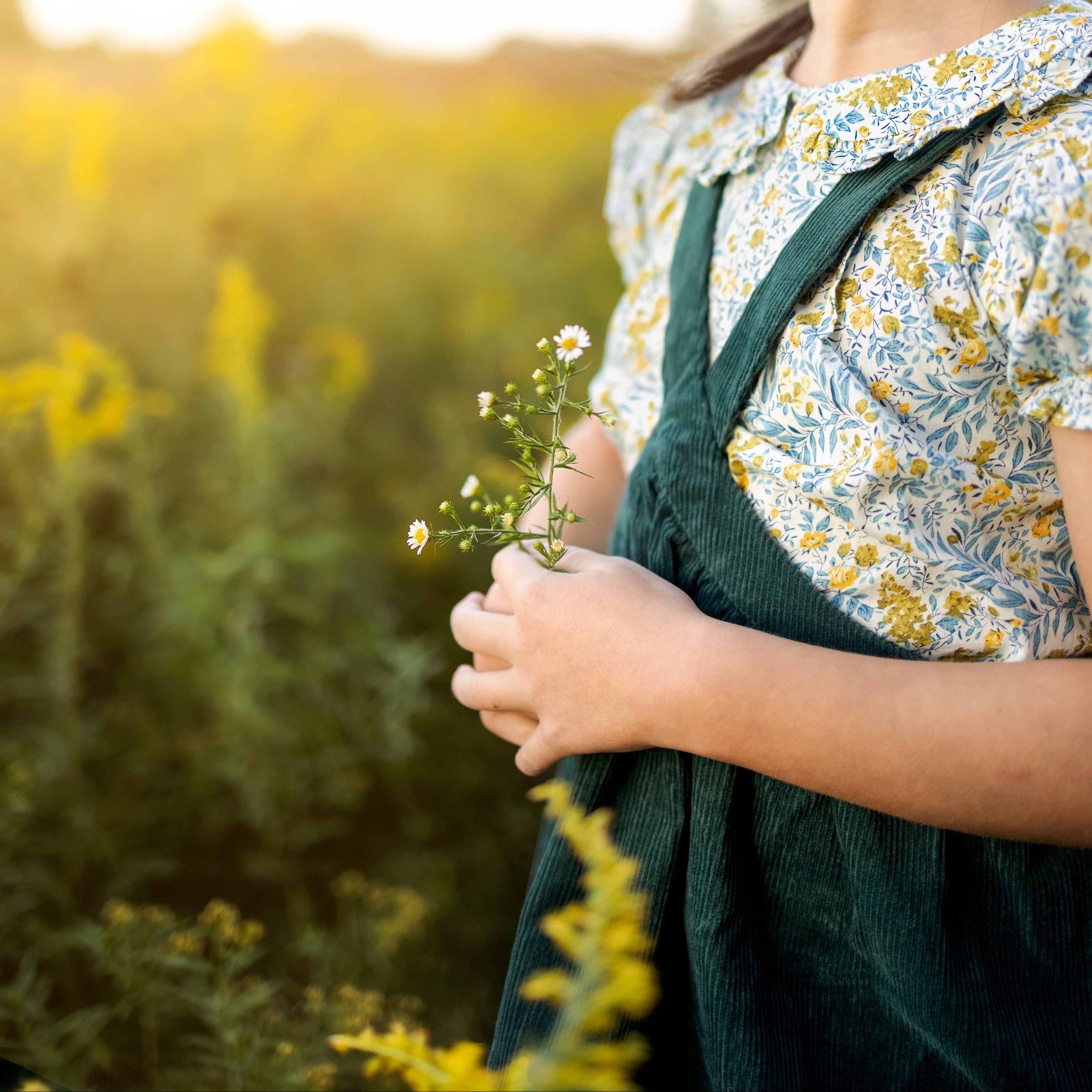 Person holding flowers in a field with a blurred background