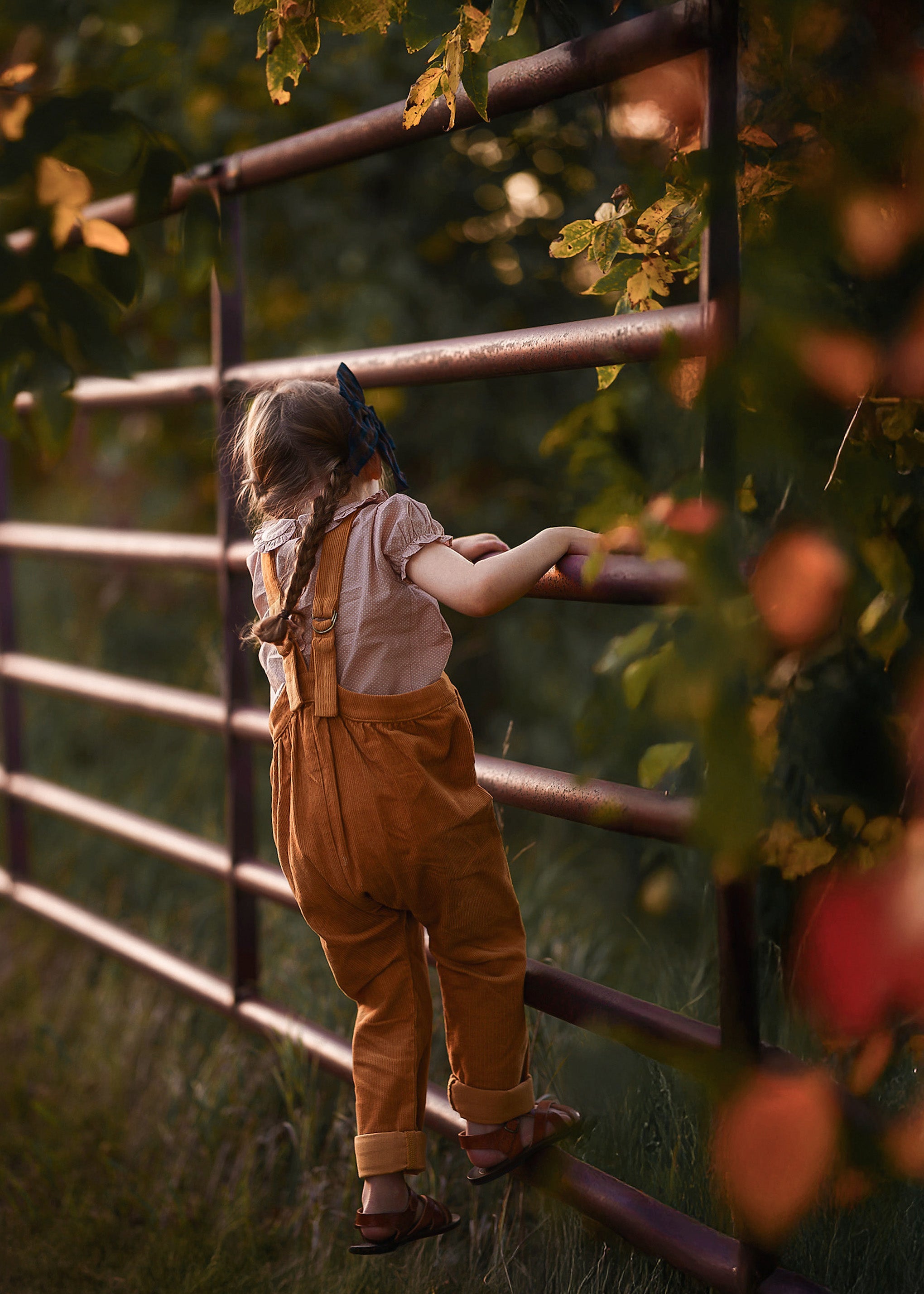 Child standing behind a metal fence with greenery in the background