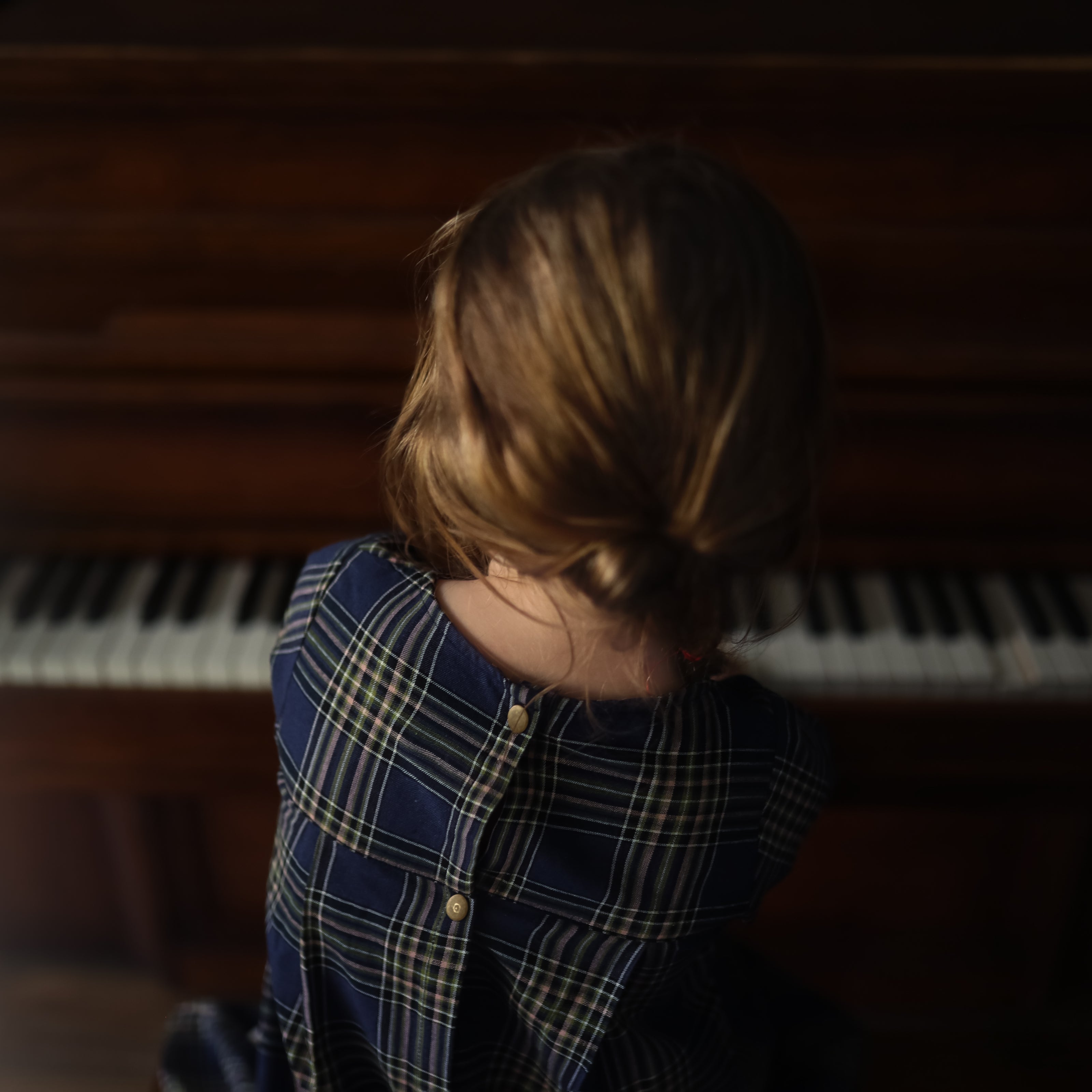 Indigo Plaid Long Sleeve Dress