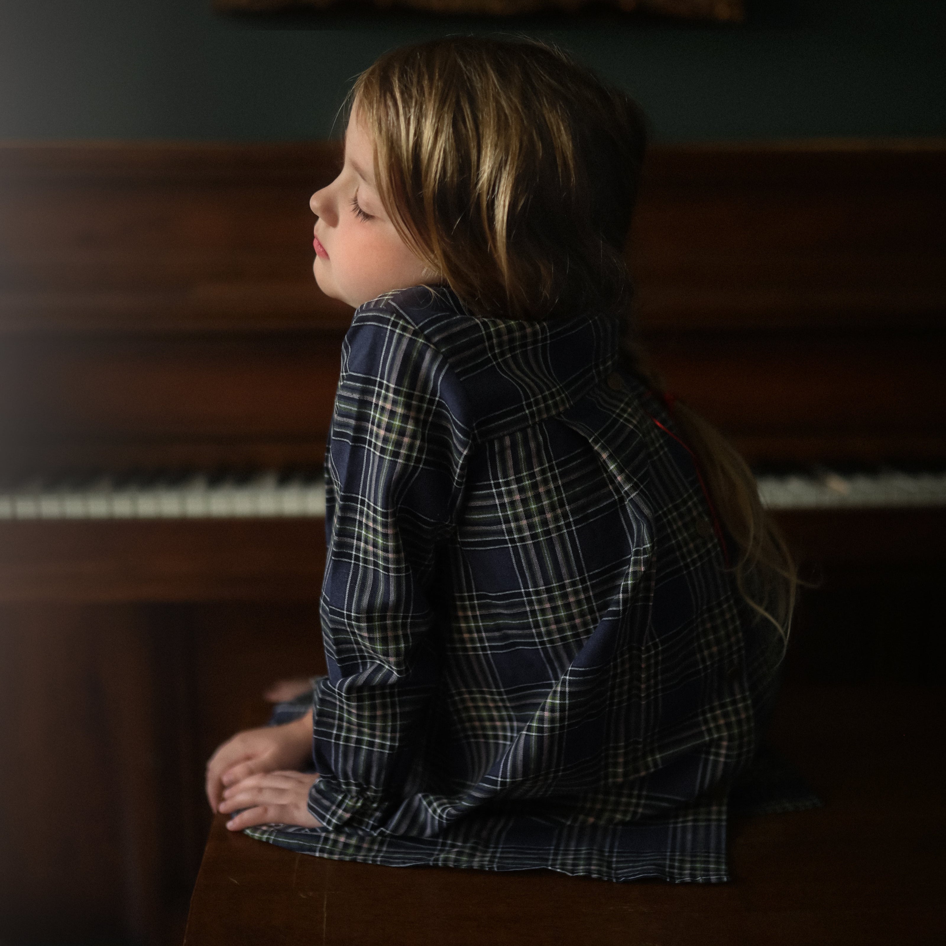 Indigo Plaid Long Sleeve Dress