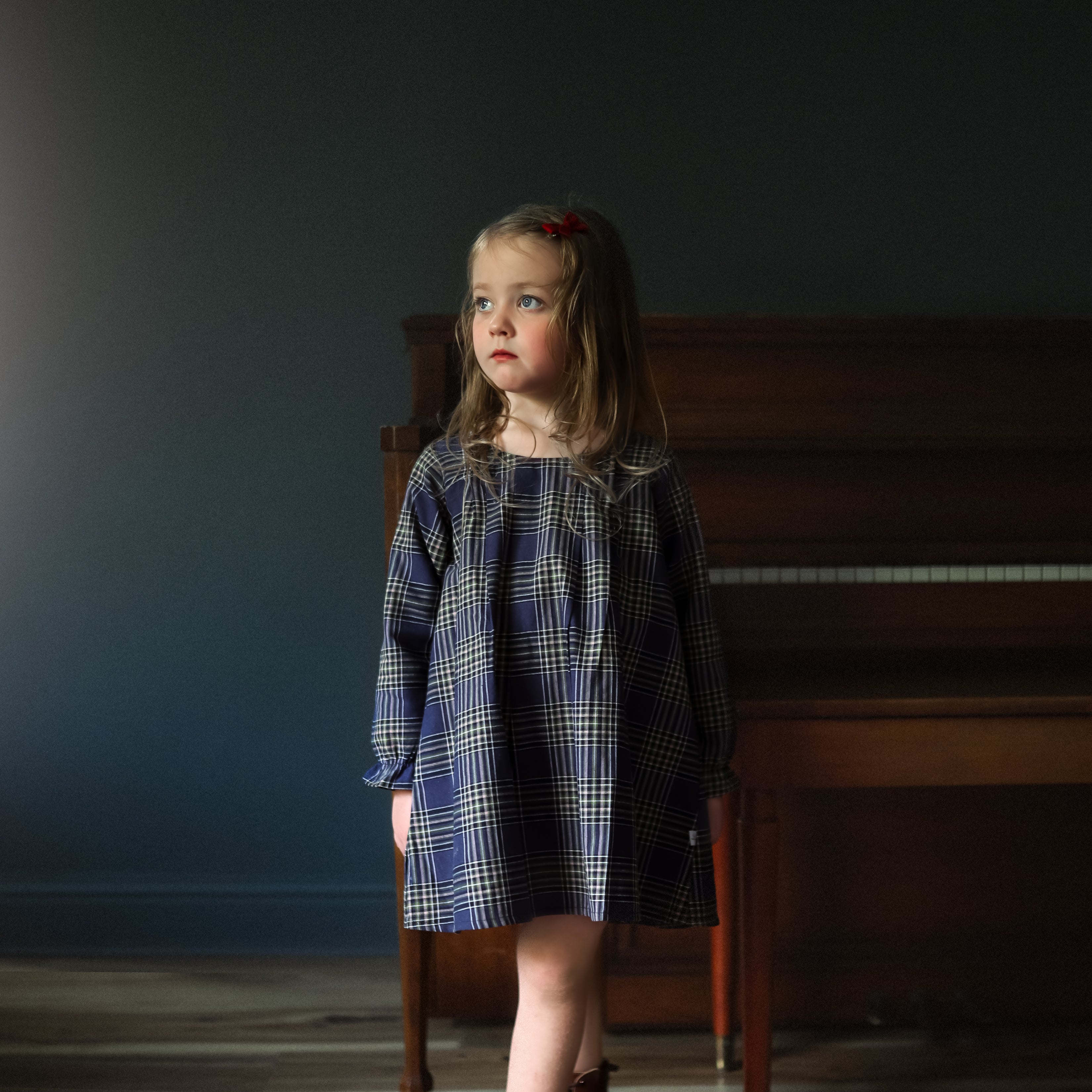 Indigo Plaid Long Sleeve Dress