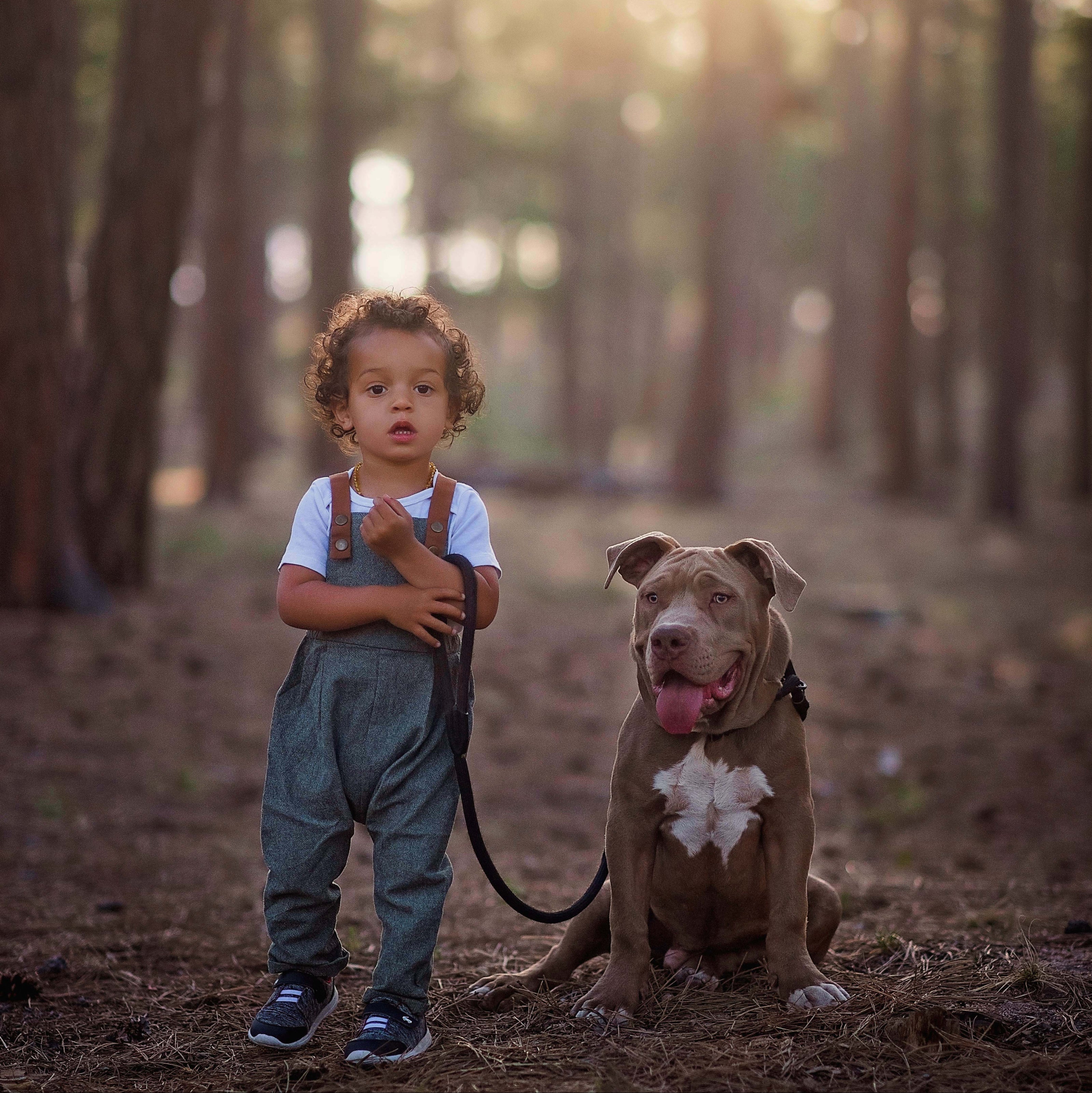 The Olive Overall