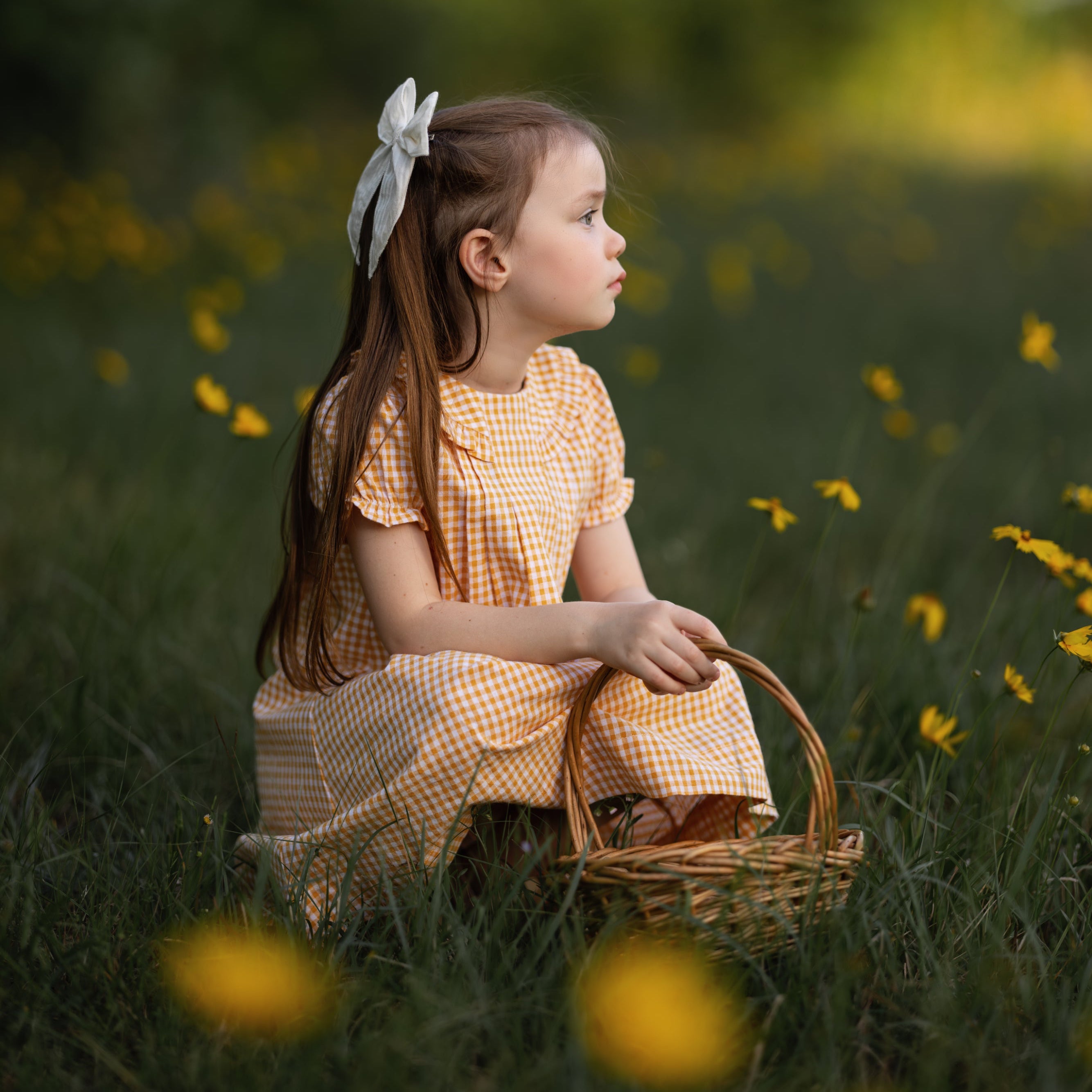 Girl sitting wearing checkered dresses standing holding a basket.