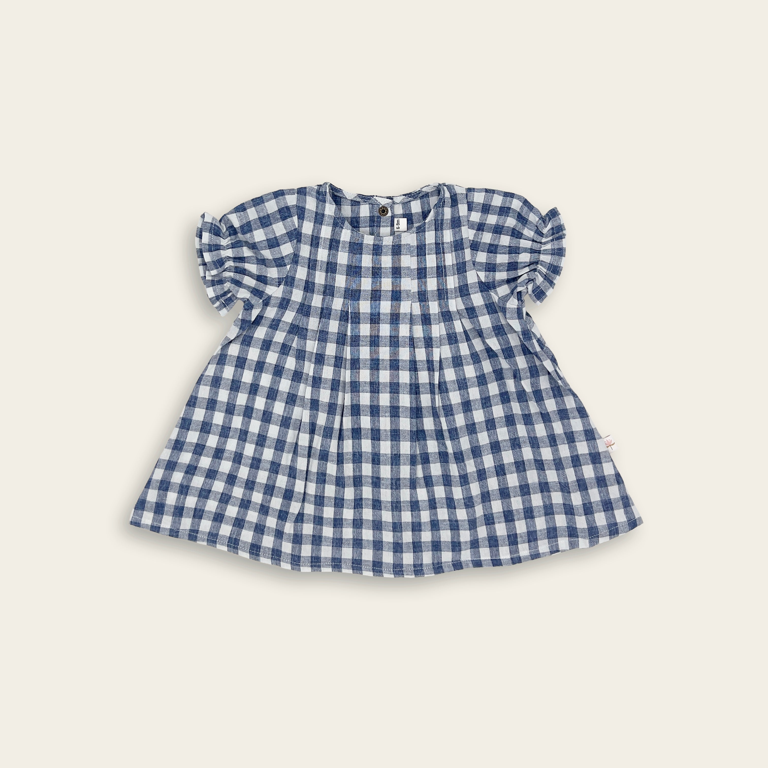The Blue Gingham Dress
