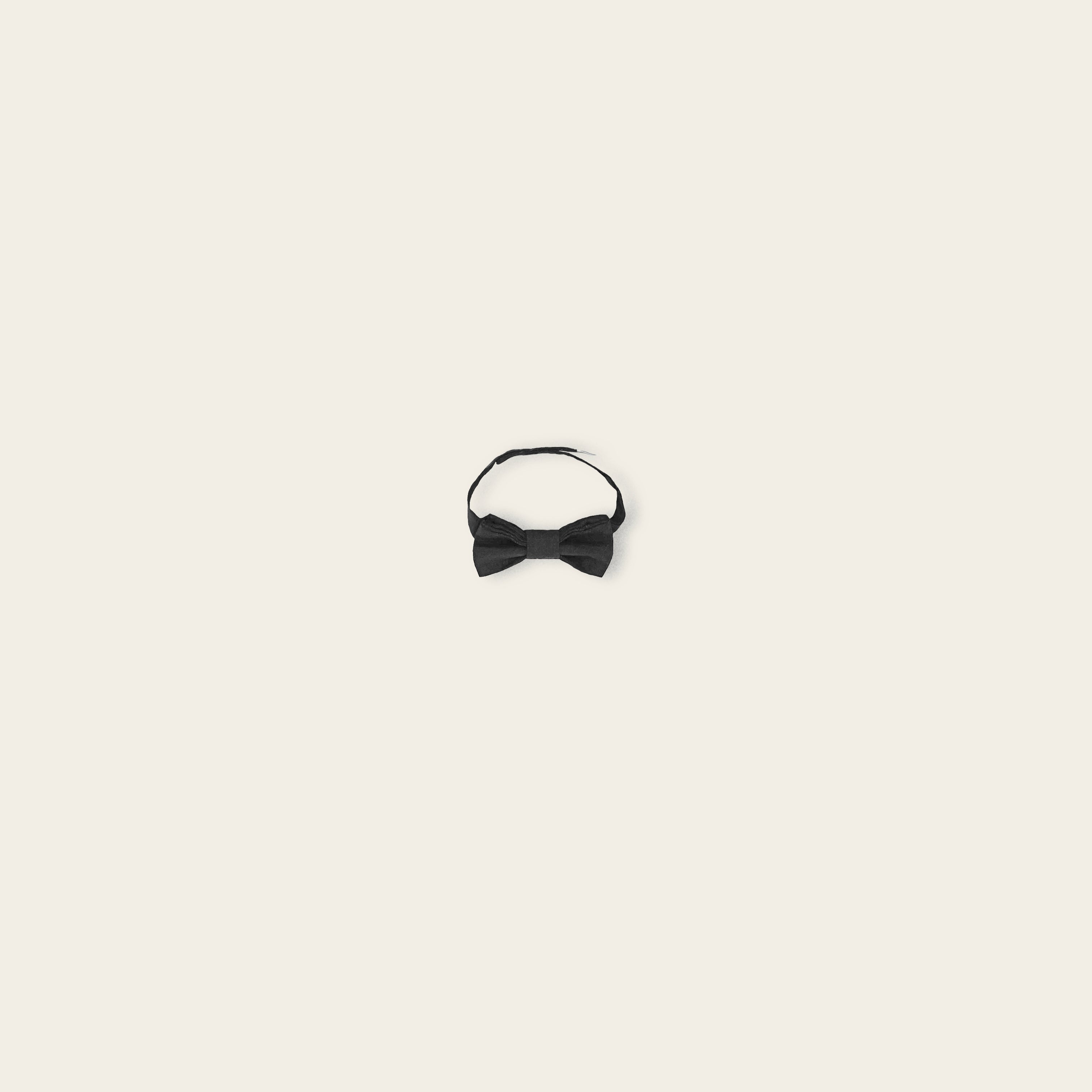 The Black Bow Tie