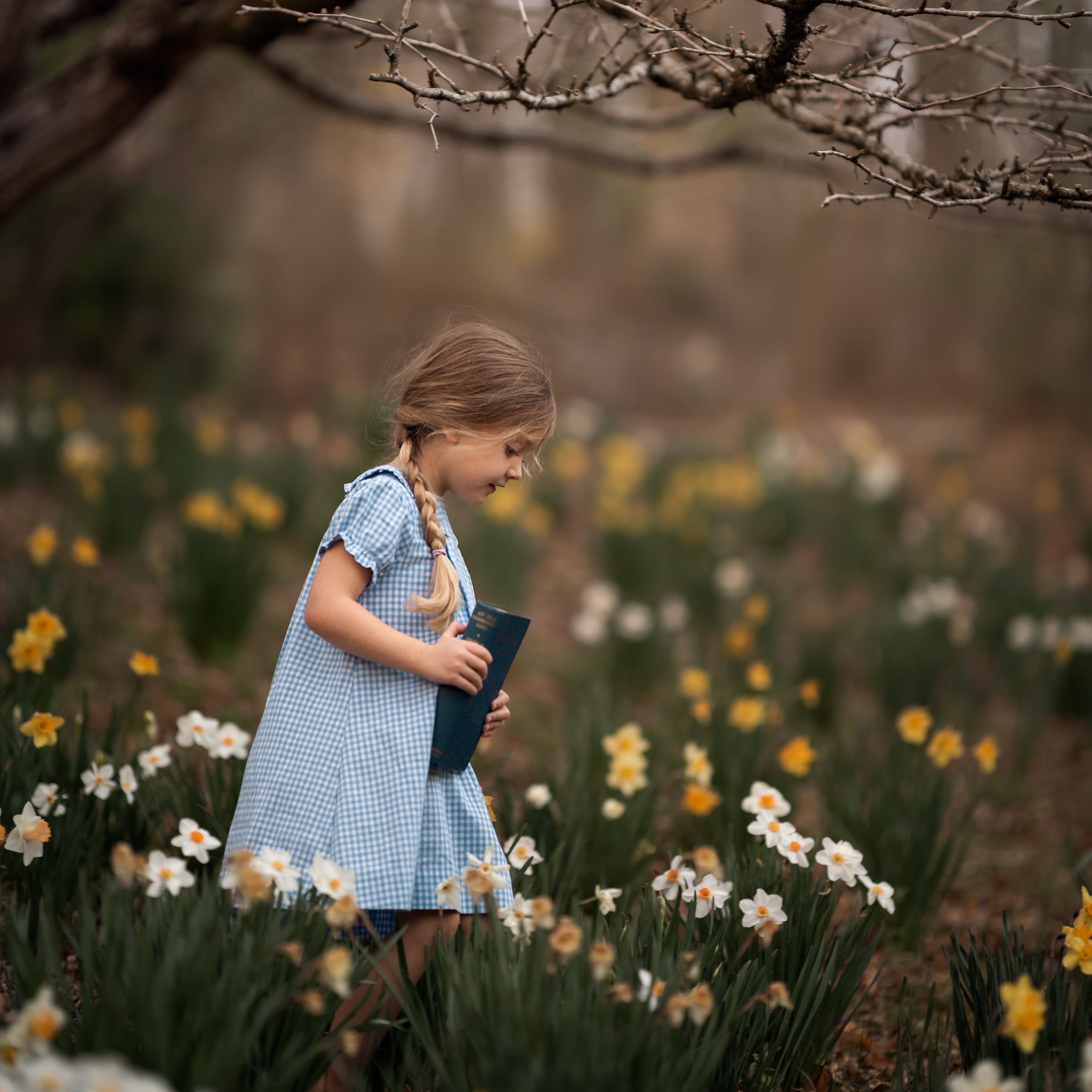 girl in blue gingham dress walking in a field of daffodils