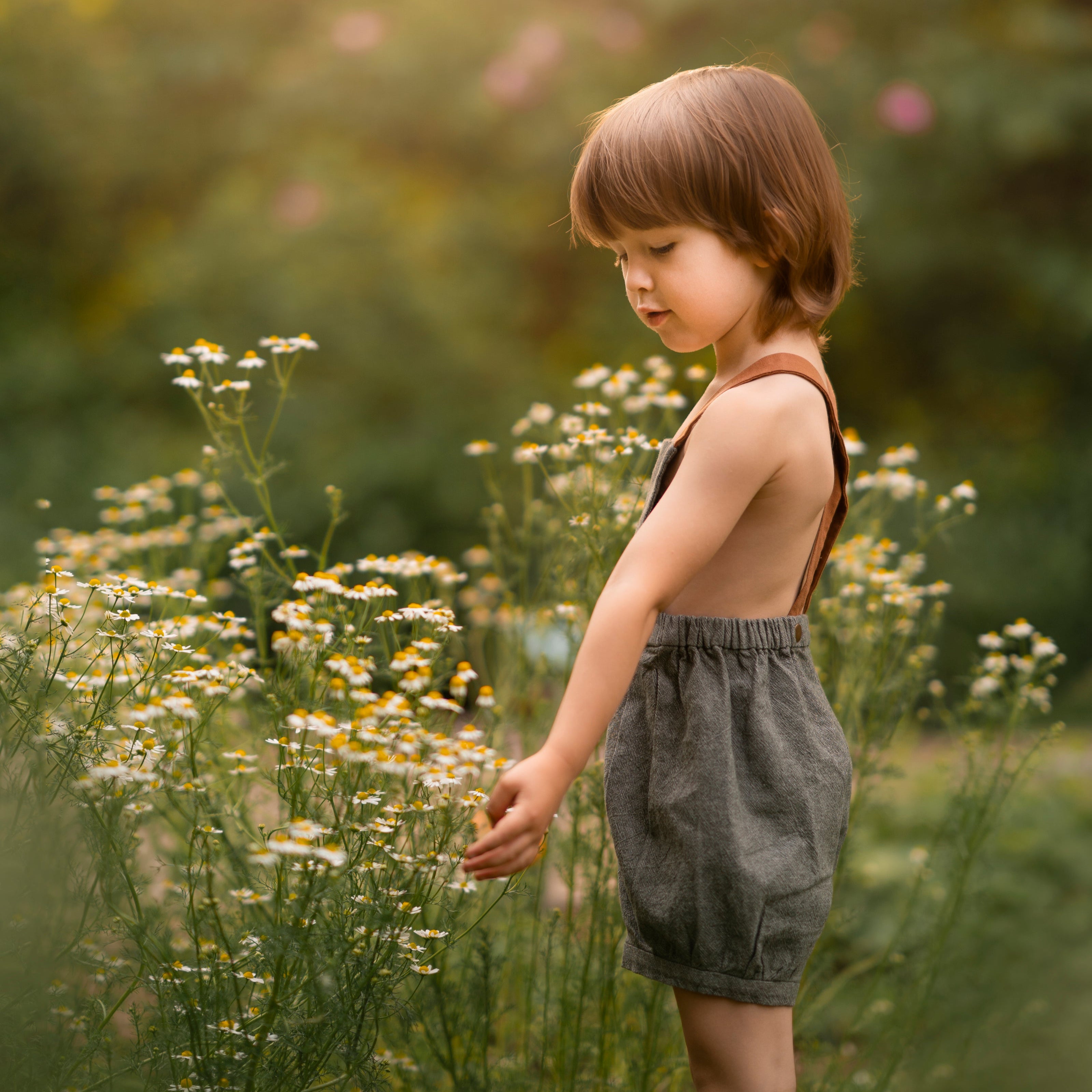 Little boy in green overalls picking daisies