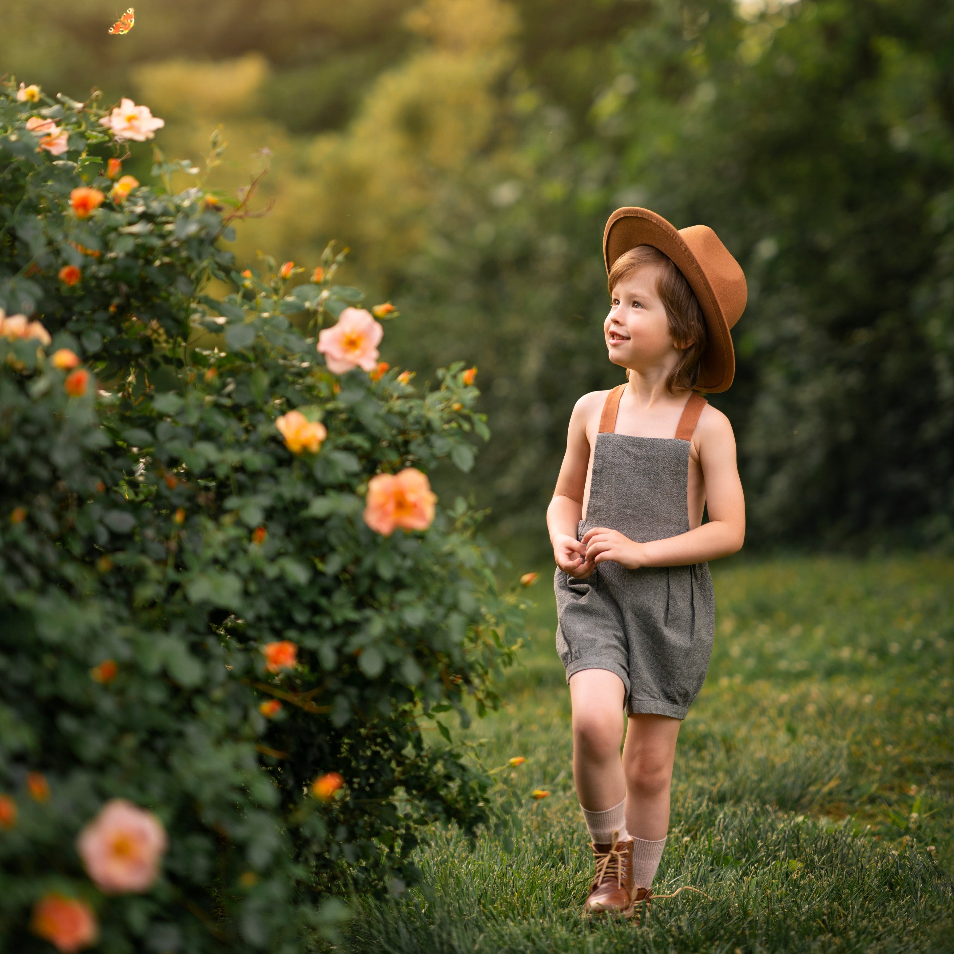 Little boy in green overalls and a hat walking near a rose bush looking at a butterfly flying