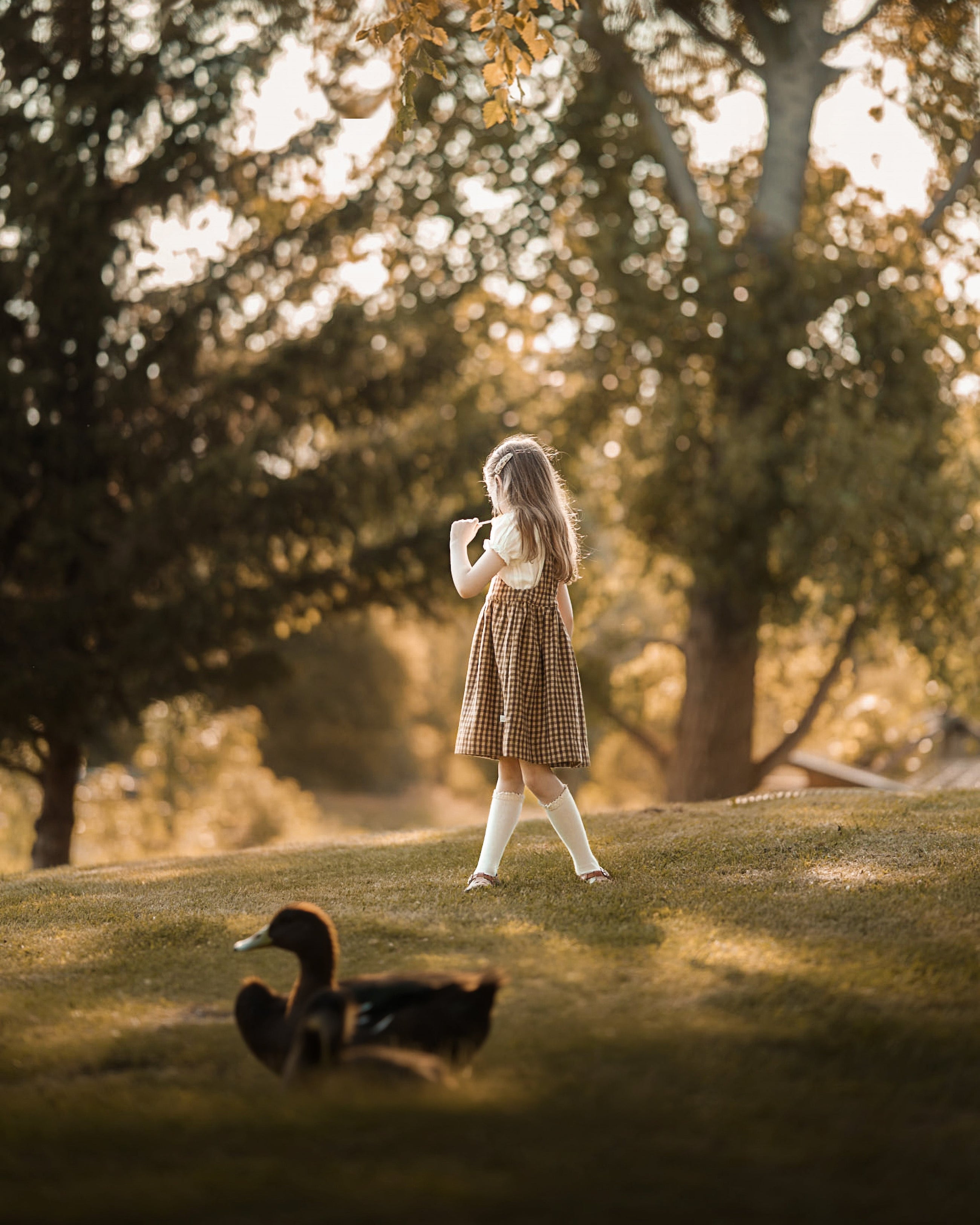 A young girl stands on a grassy hill in a sunlit park, viewed from behind as she looks toward trees and ducks in the foreground. The scene is warm and golden with soft-focus foliage and no clear retail product isolated.