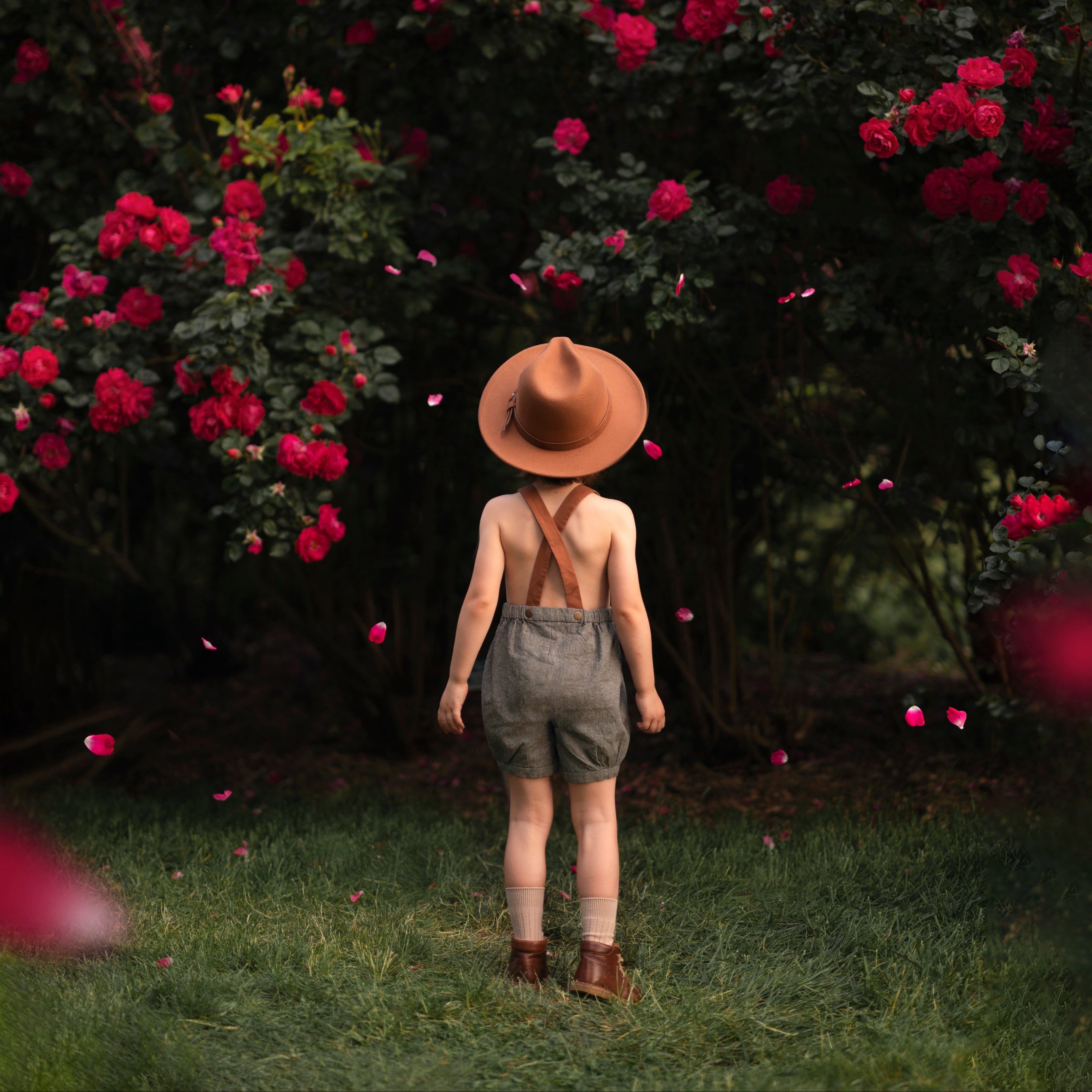 Little boy standing in front of a rose bush wearing green overalls seen from the back