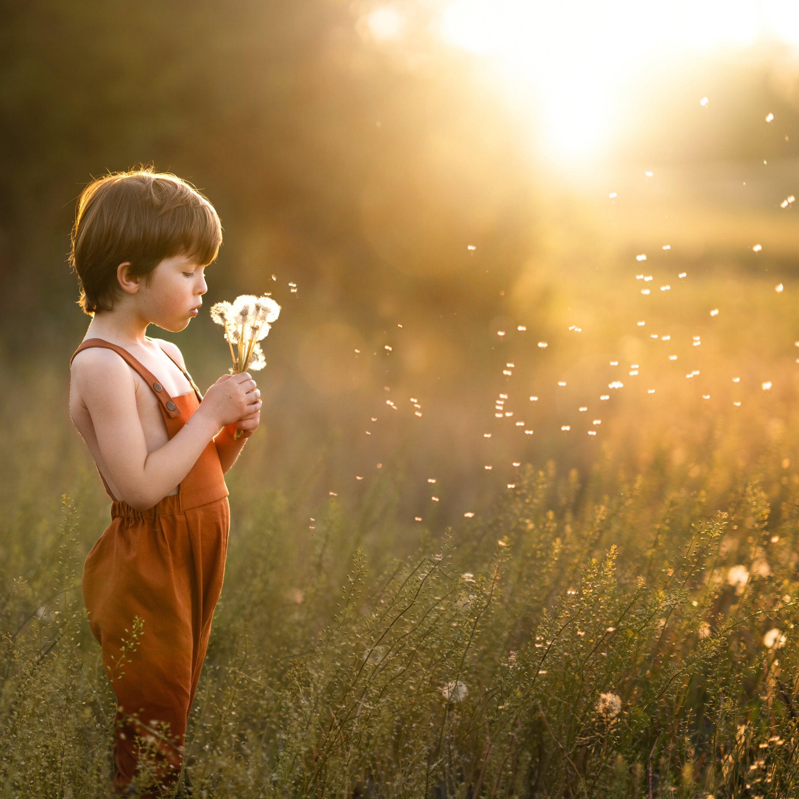 little boy in a field in orange overalls blowing dandelions