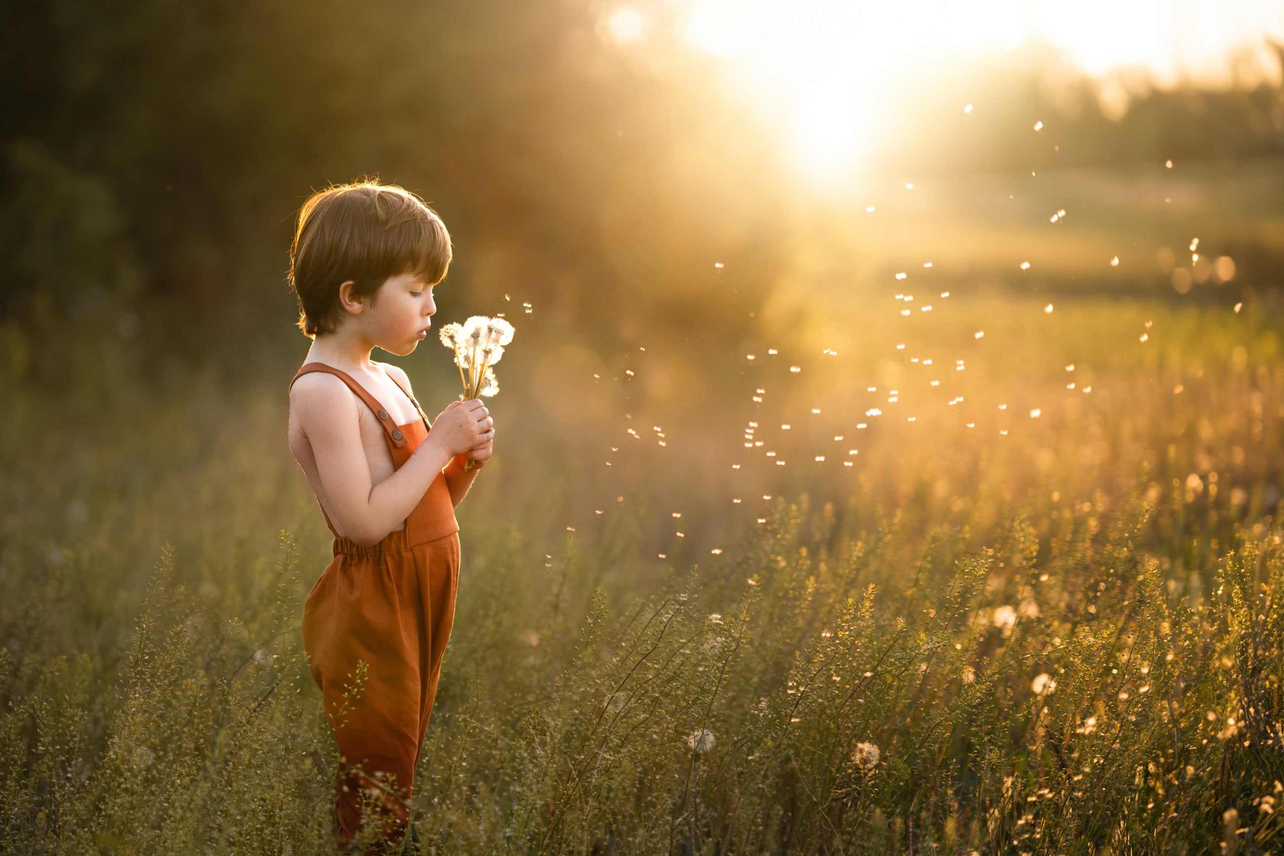 little boy in a field in orange overalls blowing dandelions