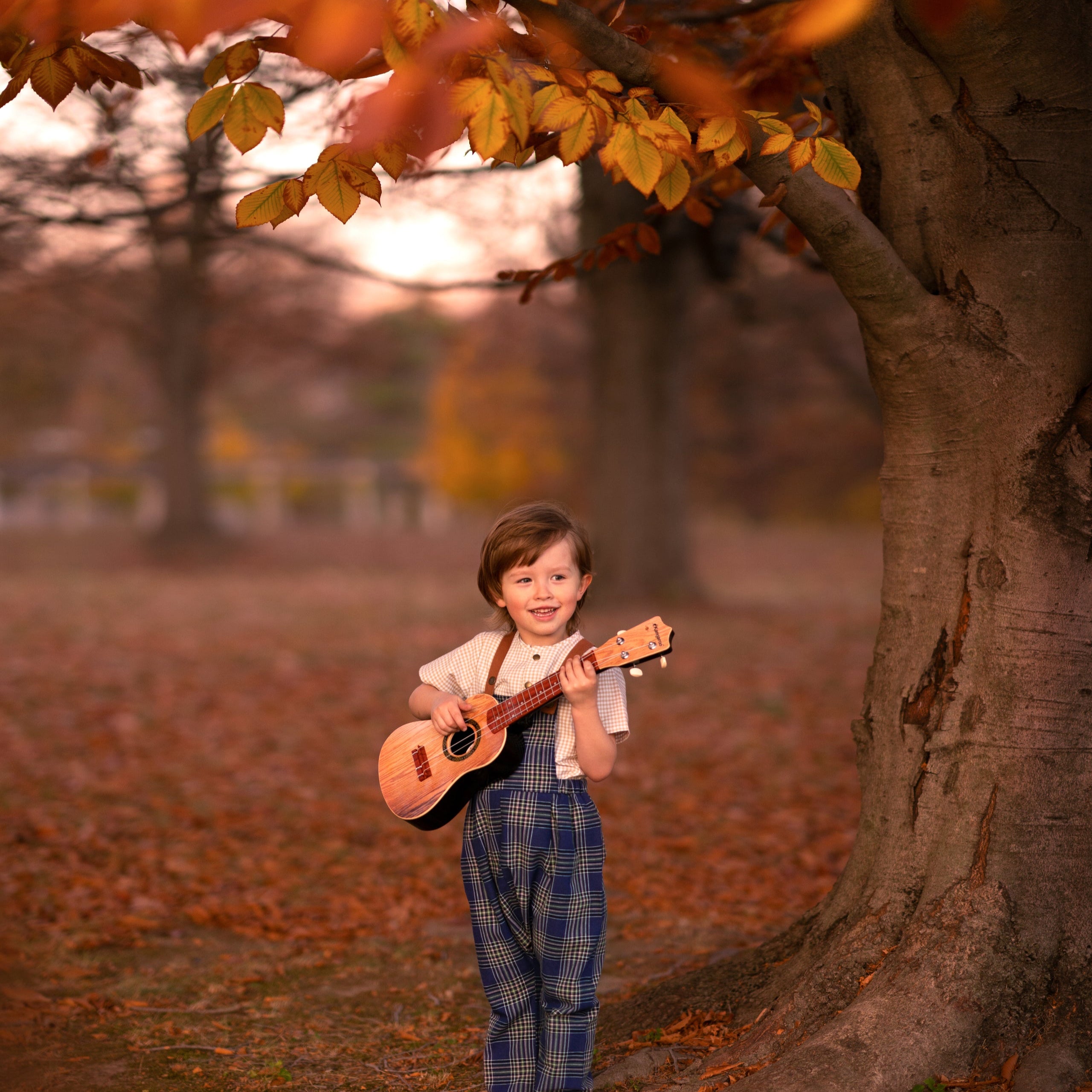 Indigo Plaid Linen Long Overalls