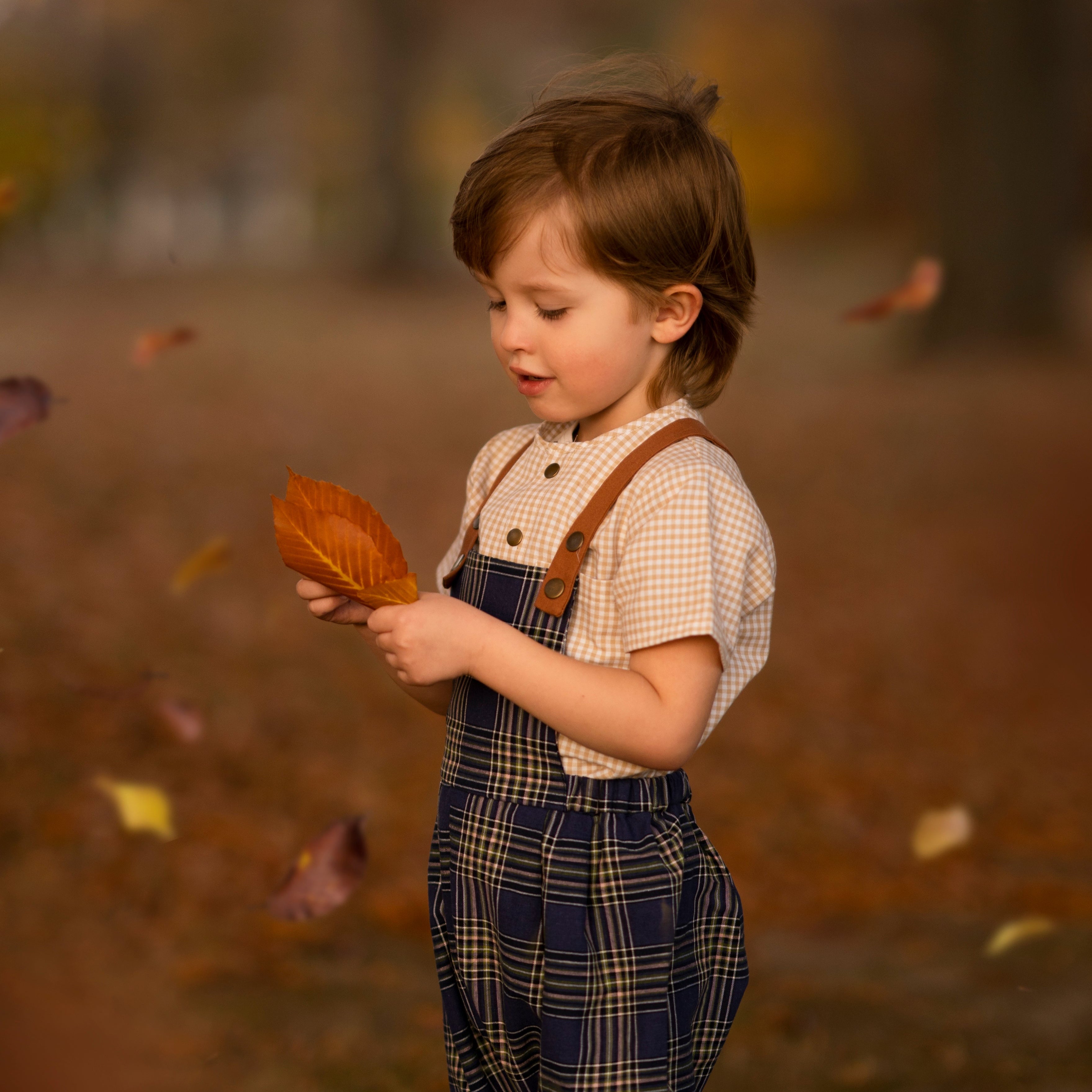 The Indigo Plaid Overall