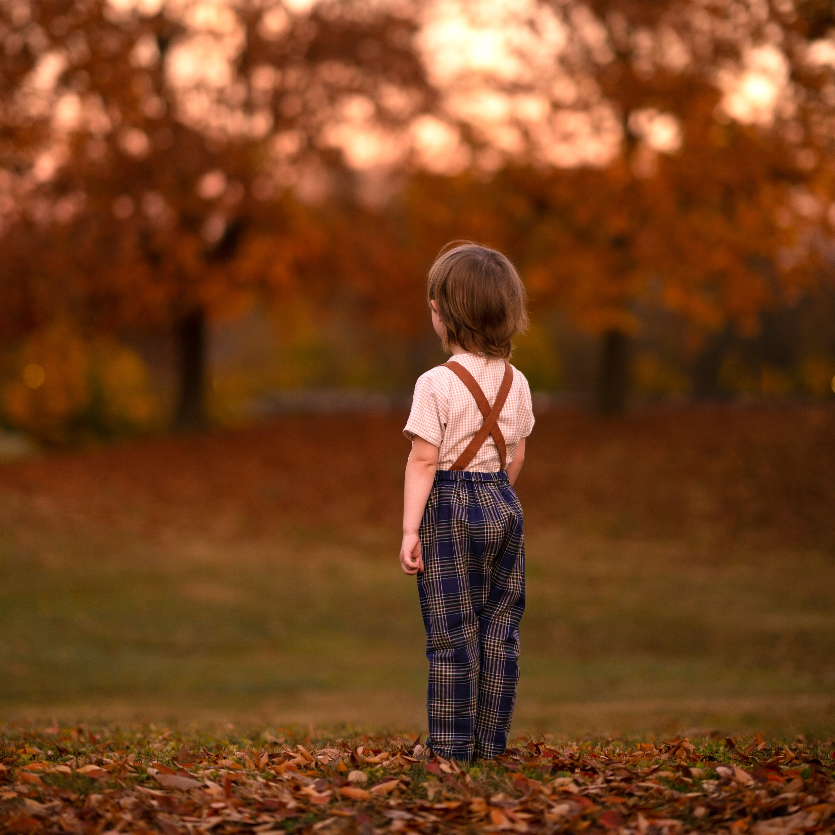 Indigo Plaid Linen Long Overalls