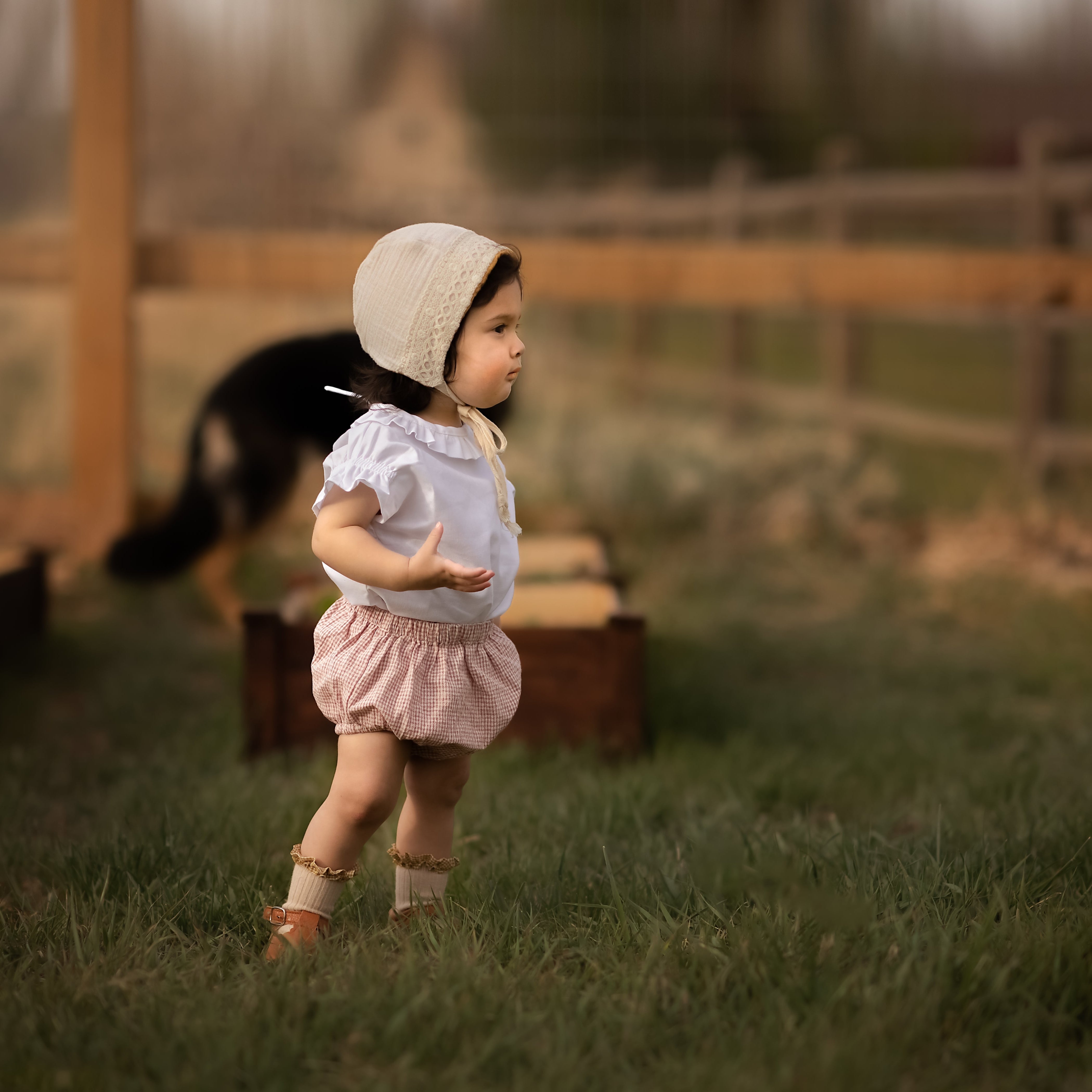 Baby in a bonnet and bloomers in a blurred field with dog in background
