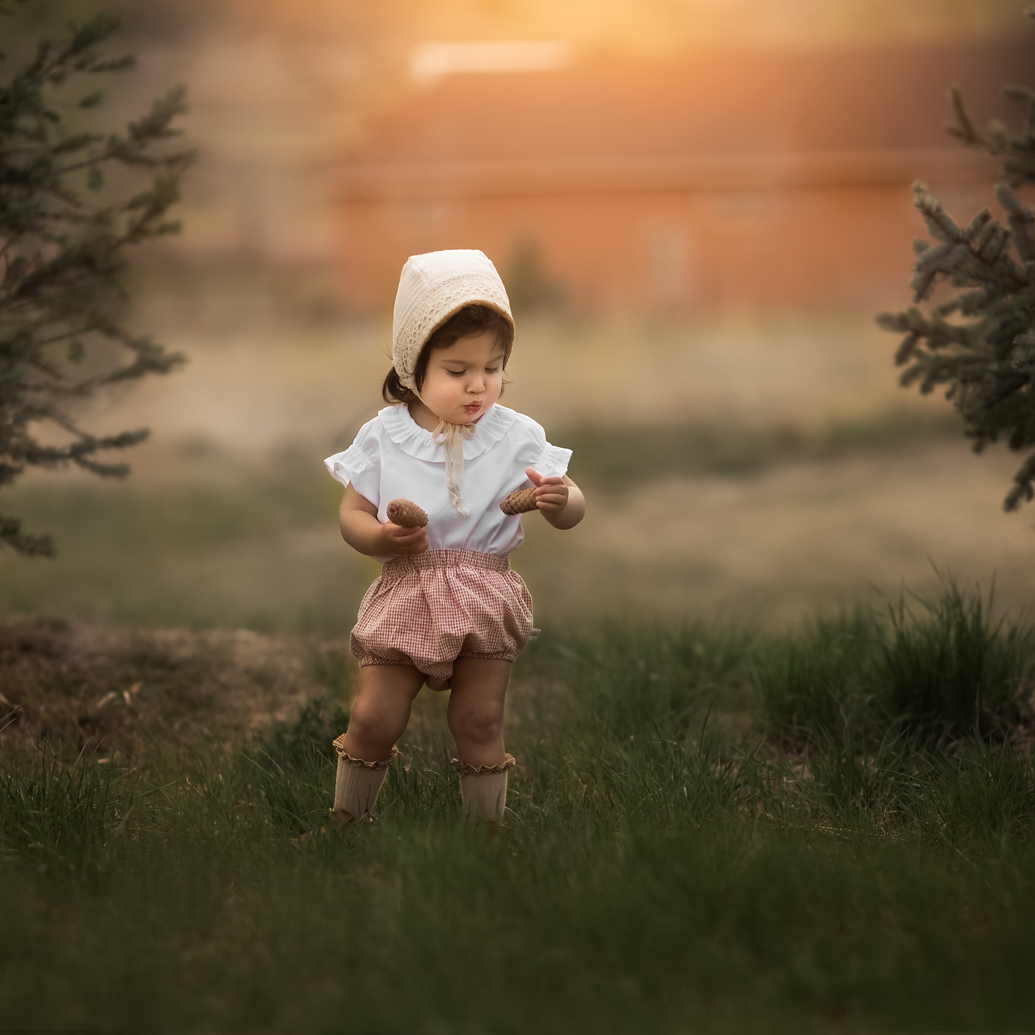 Baby in a bonnet and bloomers in a blurred field picking pine cones