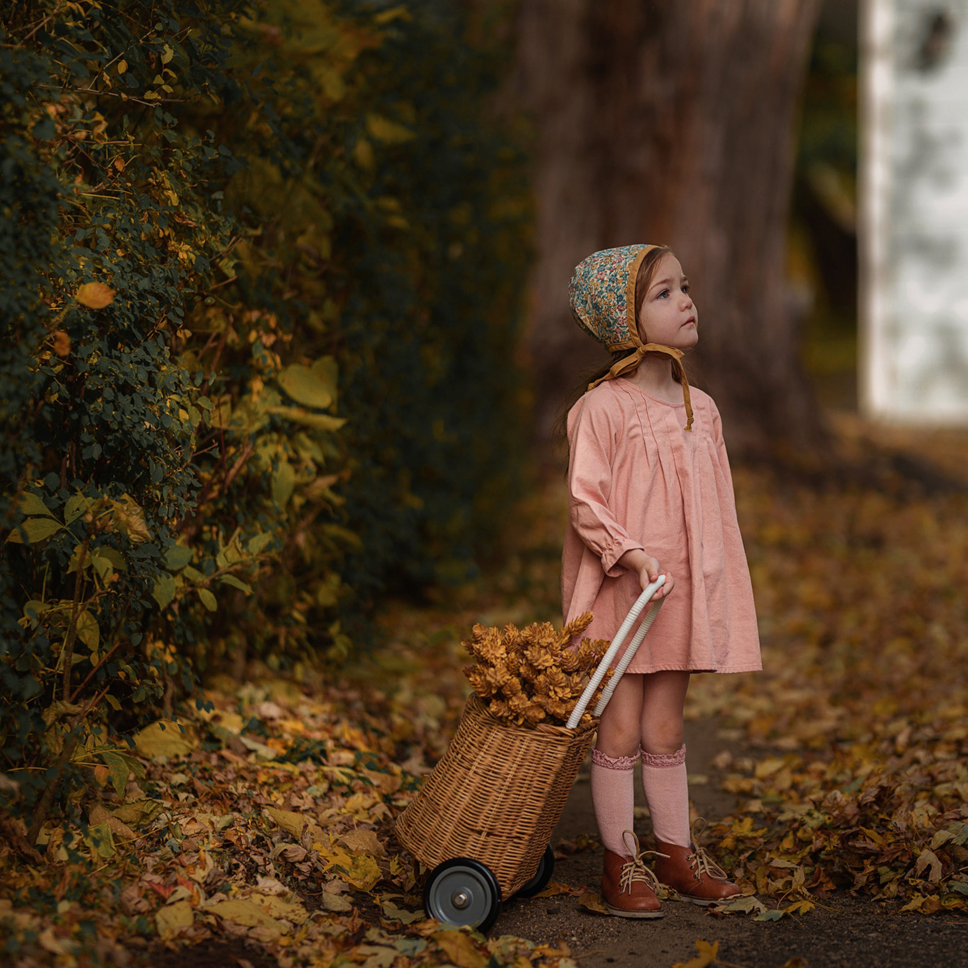 Peony Long Sleeve Dress