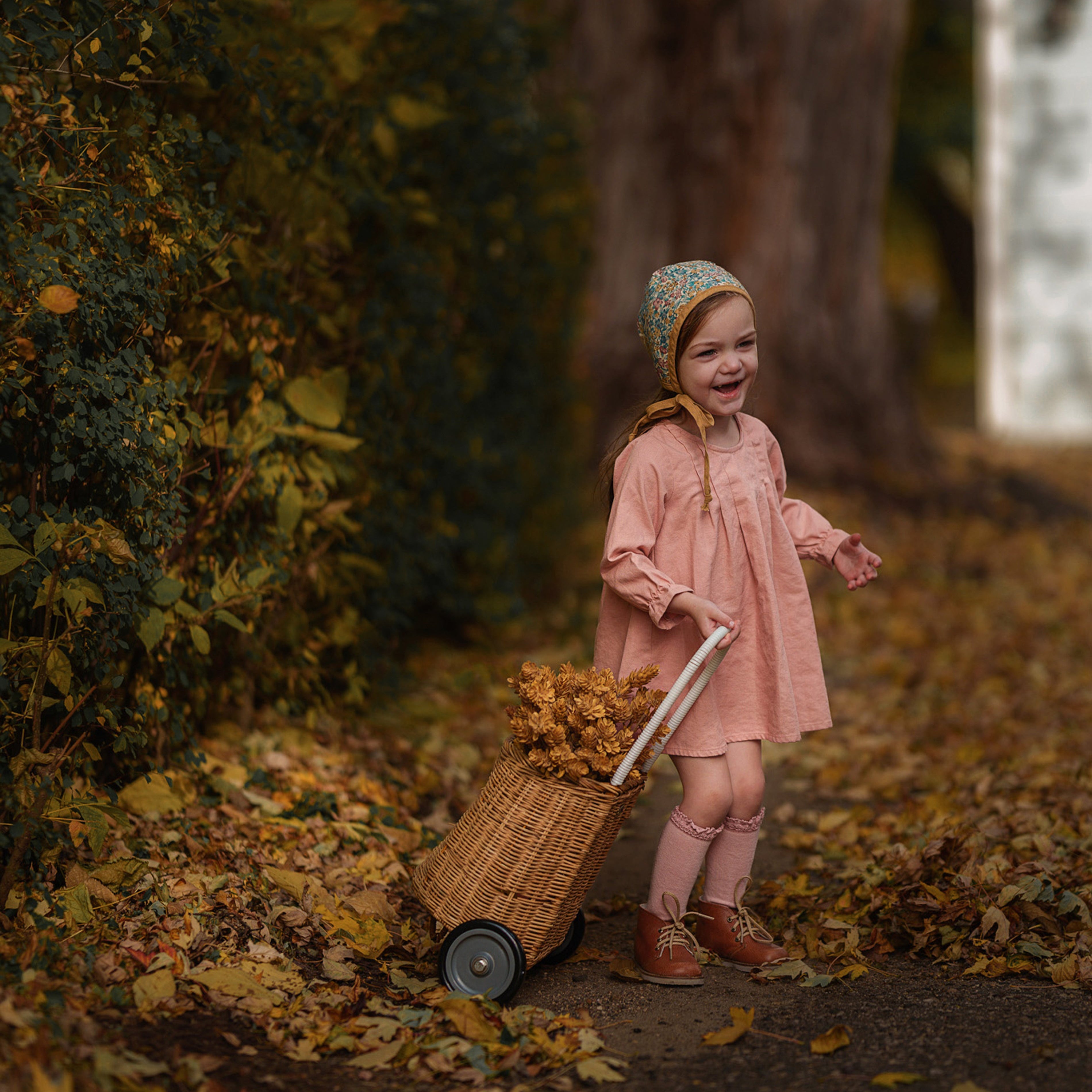Young girl in a coral pink dress and bonnet pushing a cart with autumn leaves in a forest setting.