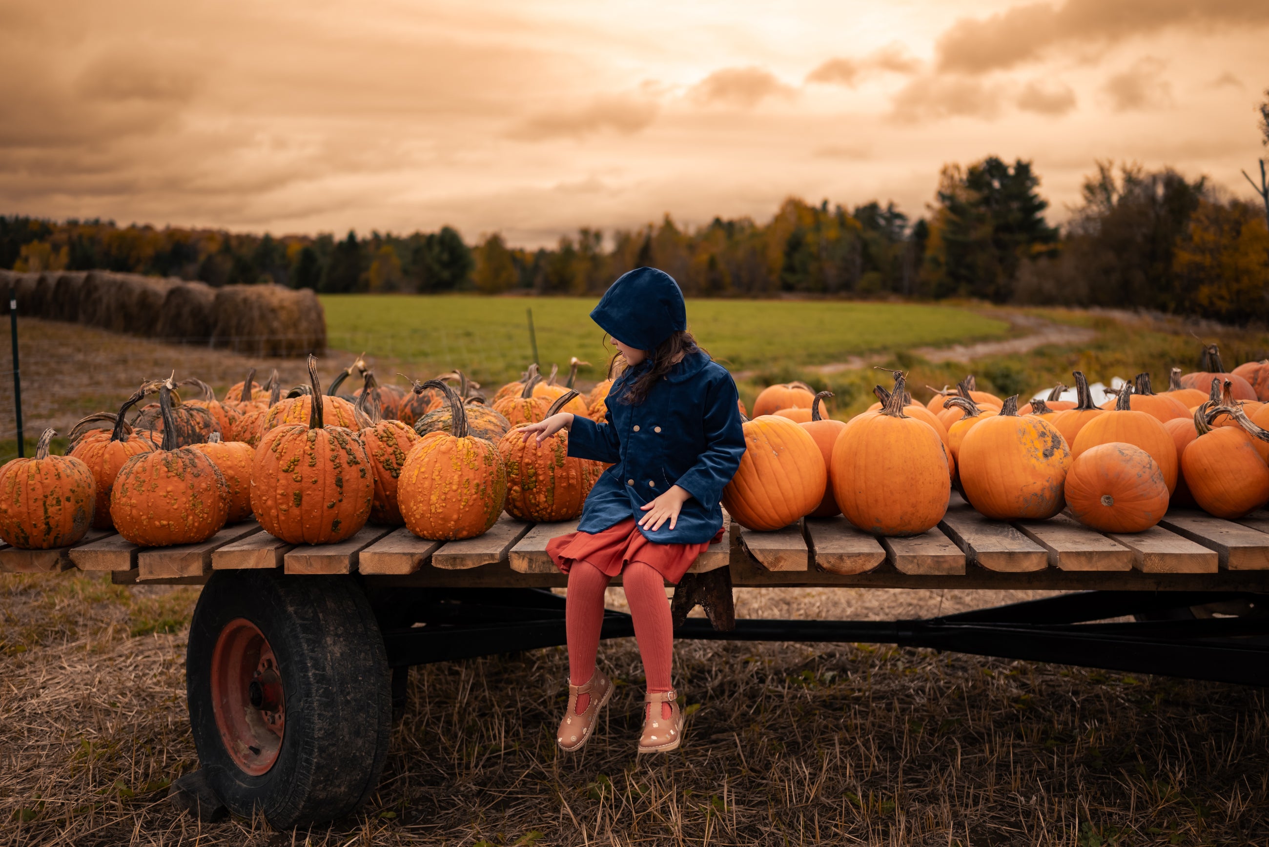 Person sitting on a pumpkin patch with pumpkins around