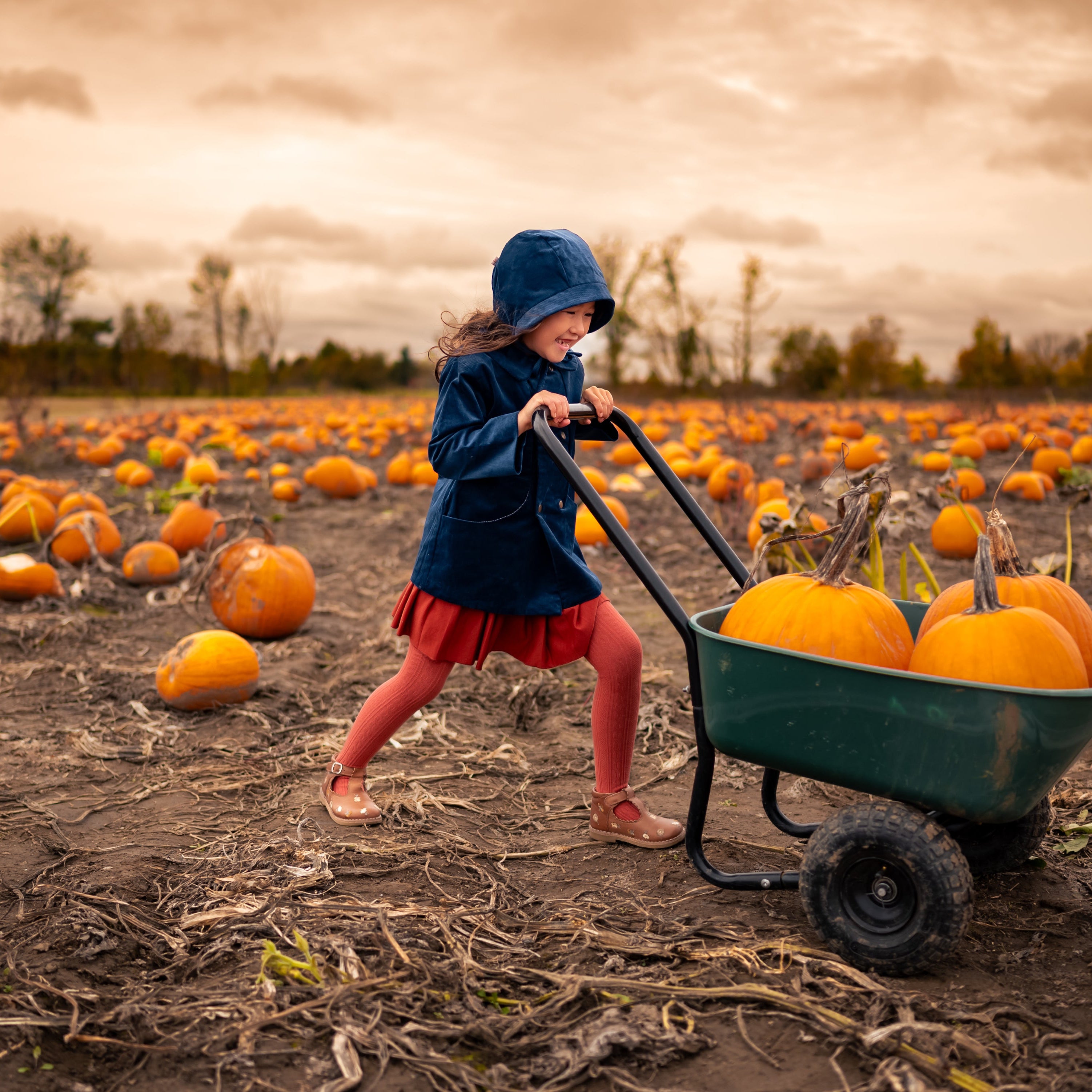 Cornflower Corduroy Coat