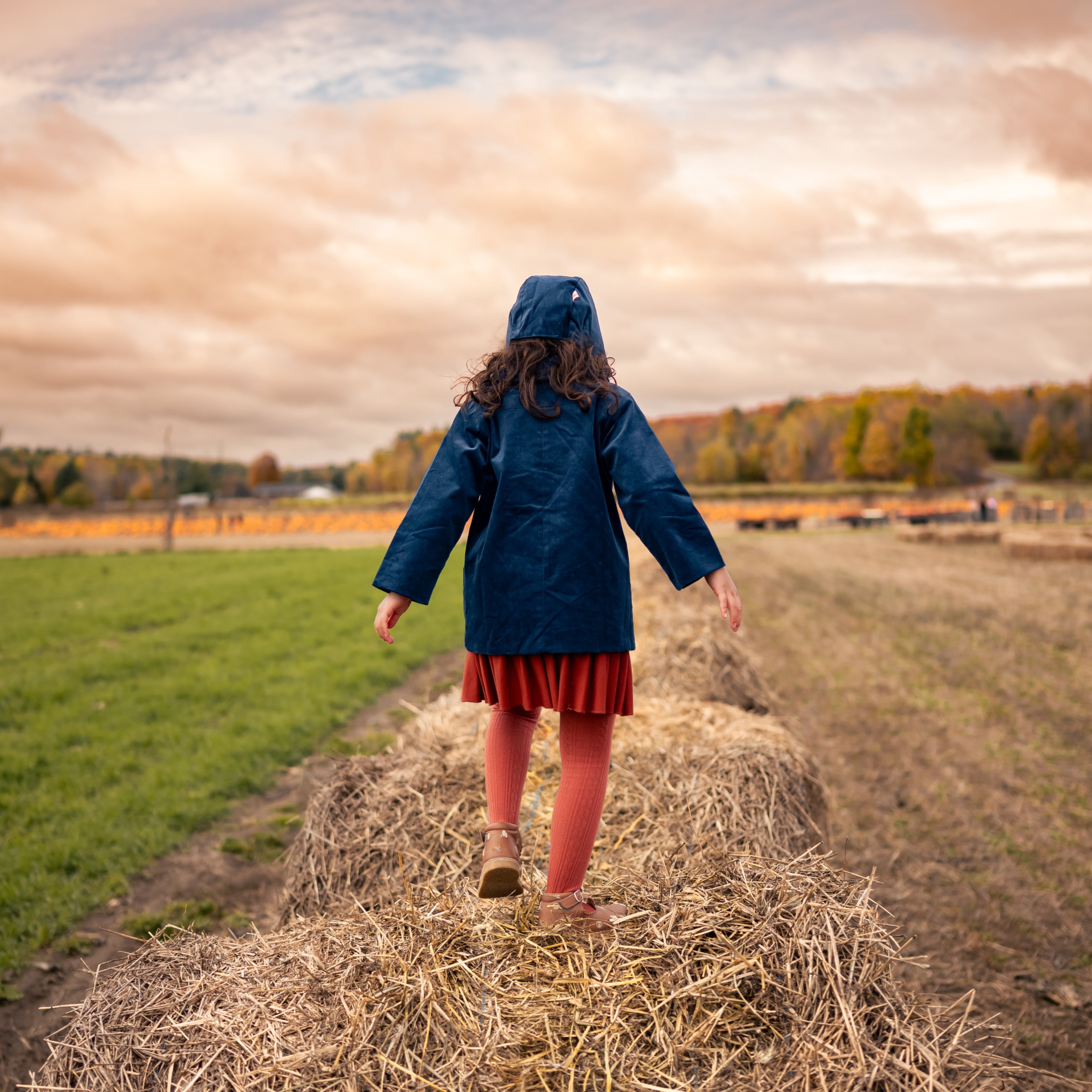 Cornflower Corduroy Coat