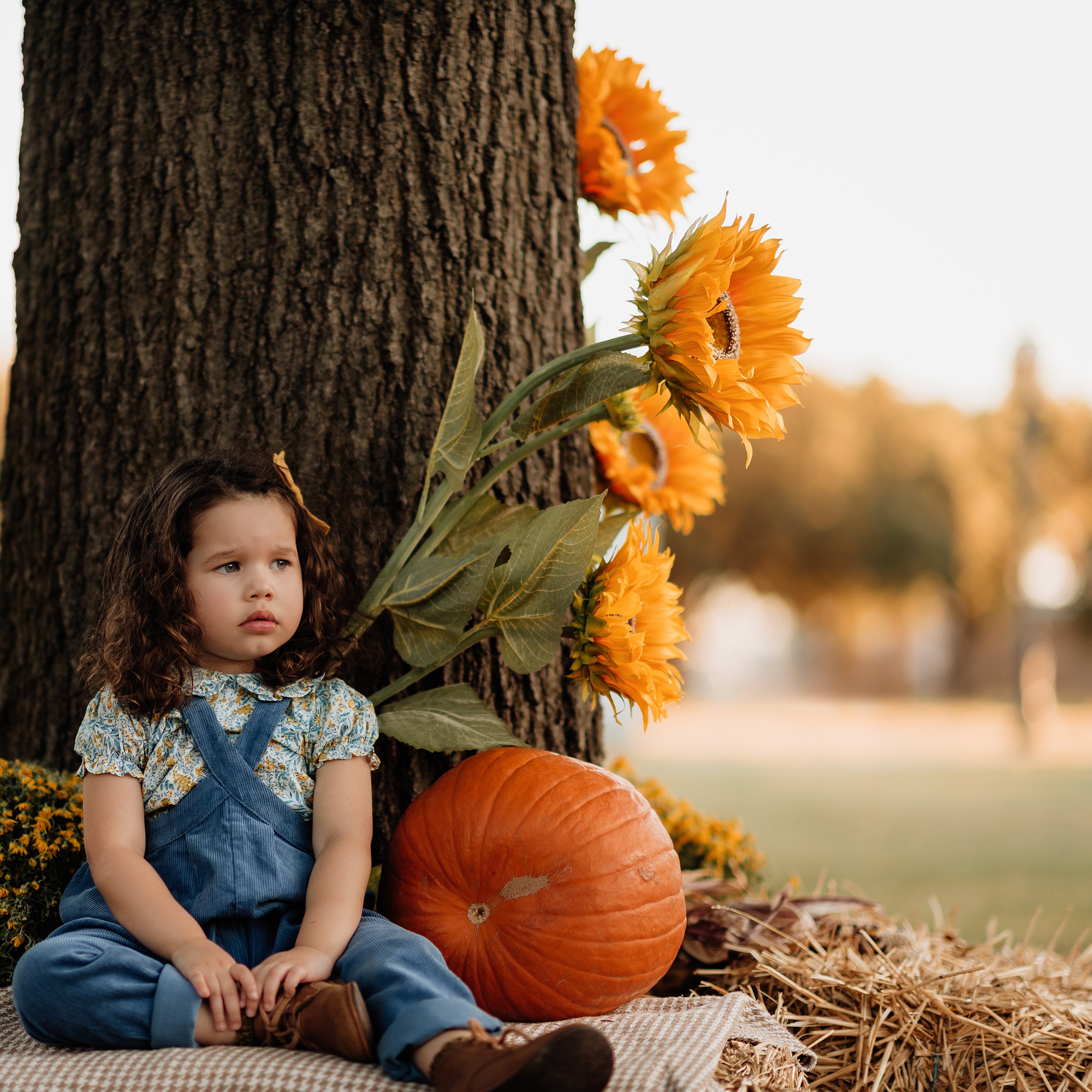 Child in blue corduroy overalls sitting on a hay bale with pumpkins and sunflowers in an outdoor setting