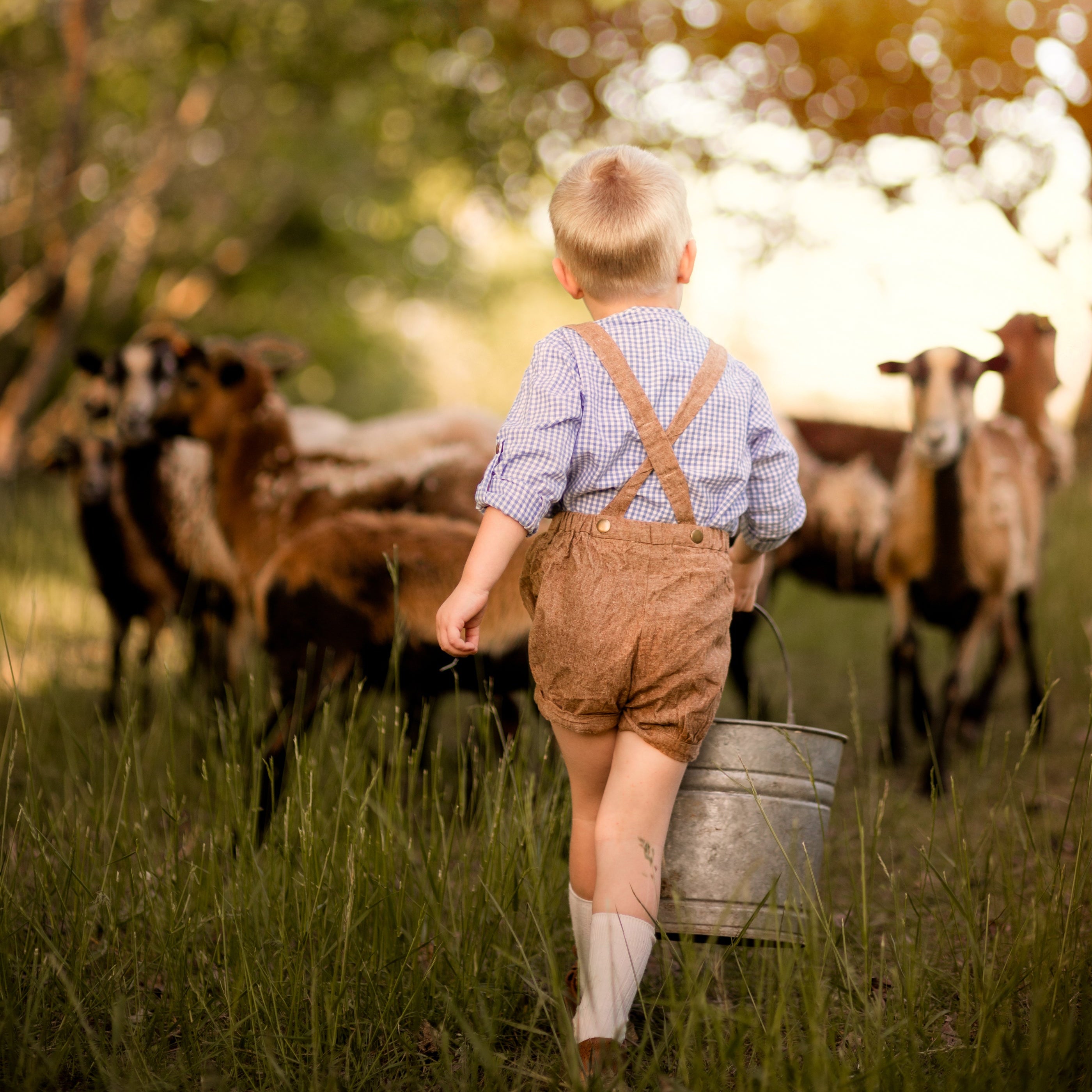 Nutmeg Suspender Shorts