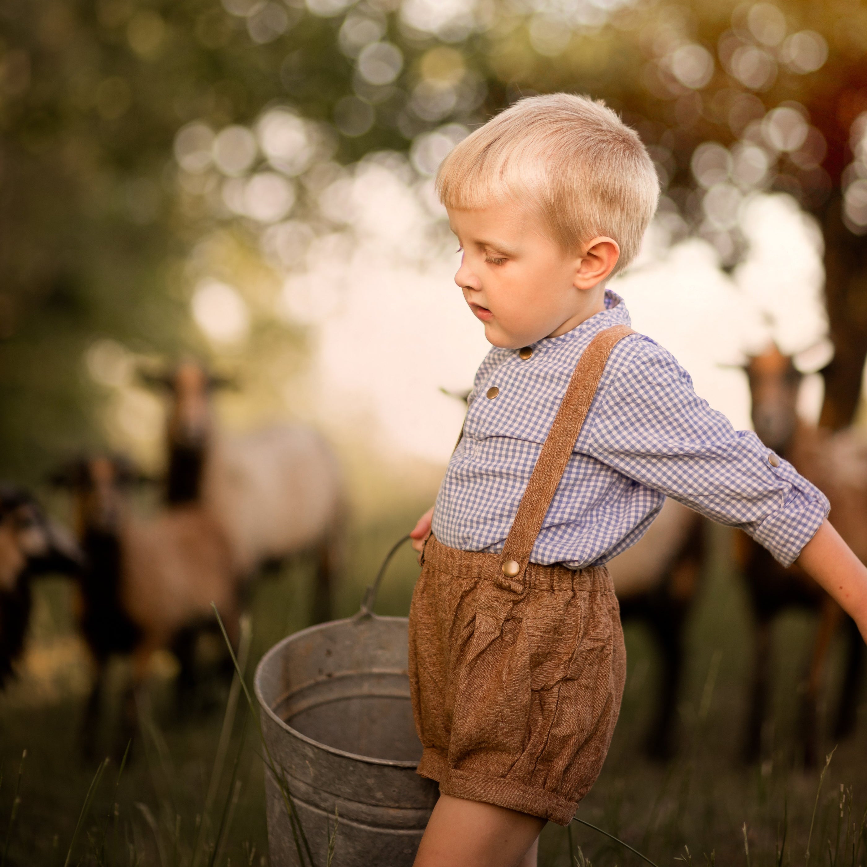 Nutmeg Suspender Shorts