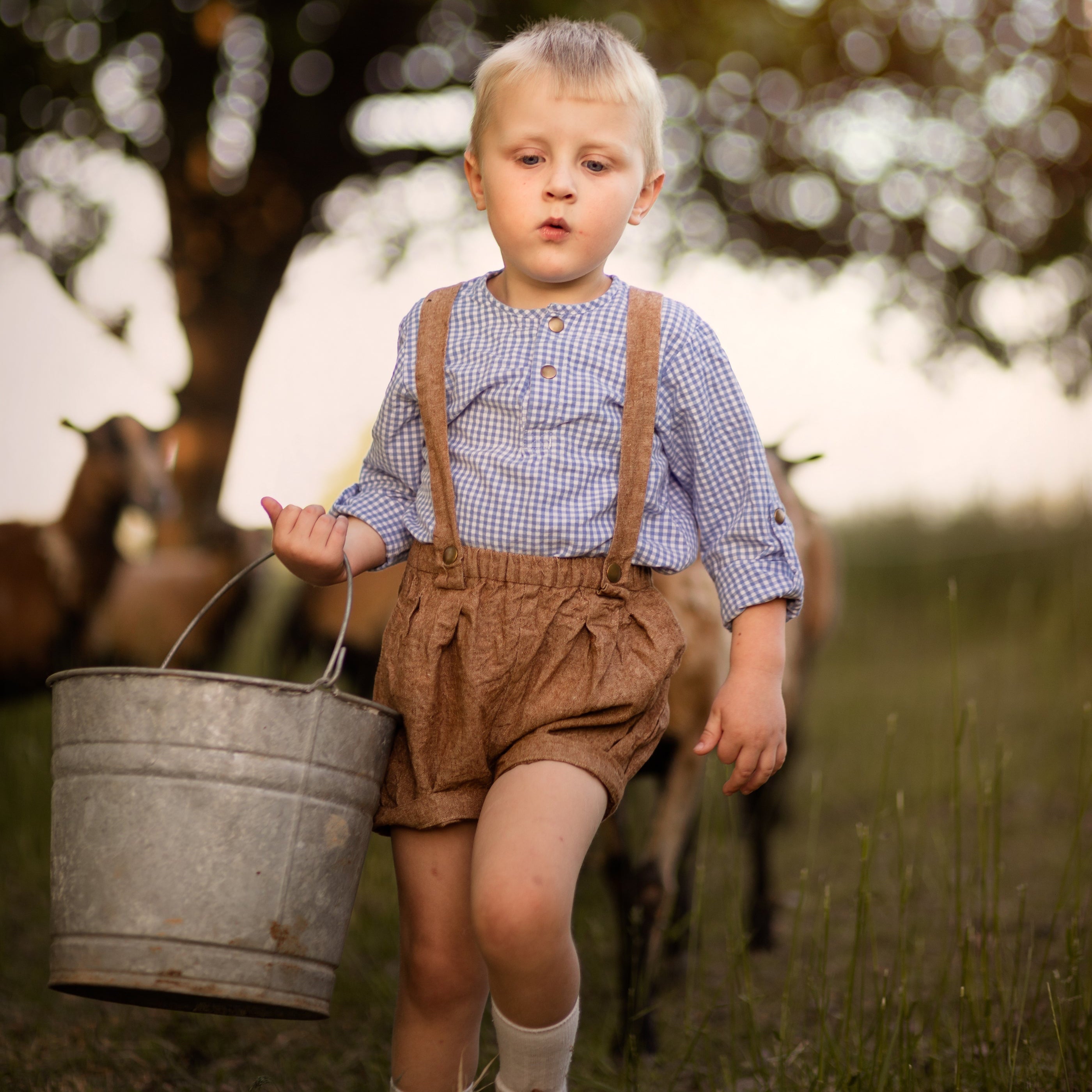 Nutmeg Suspender Shorts