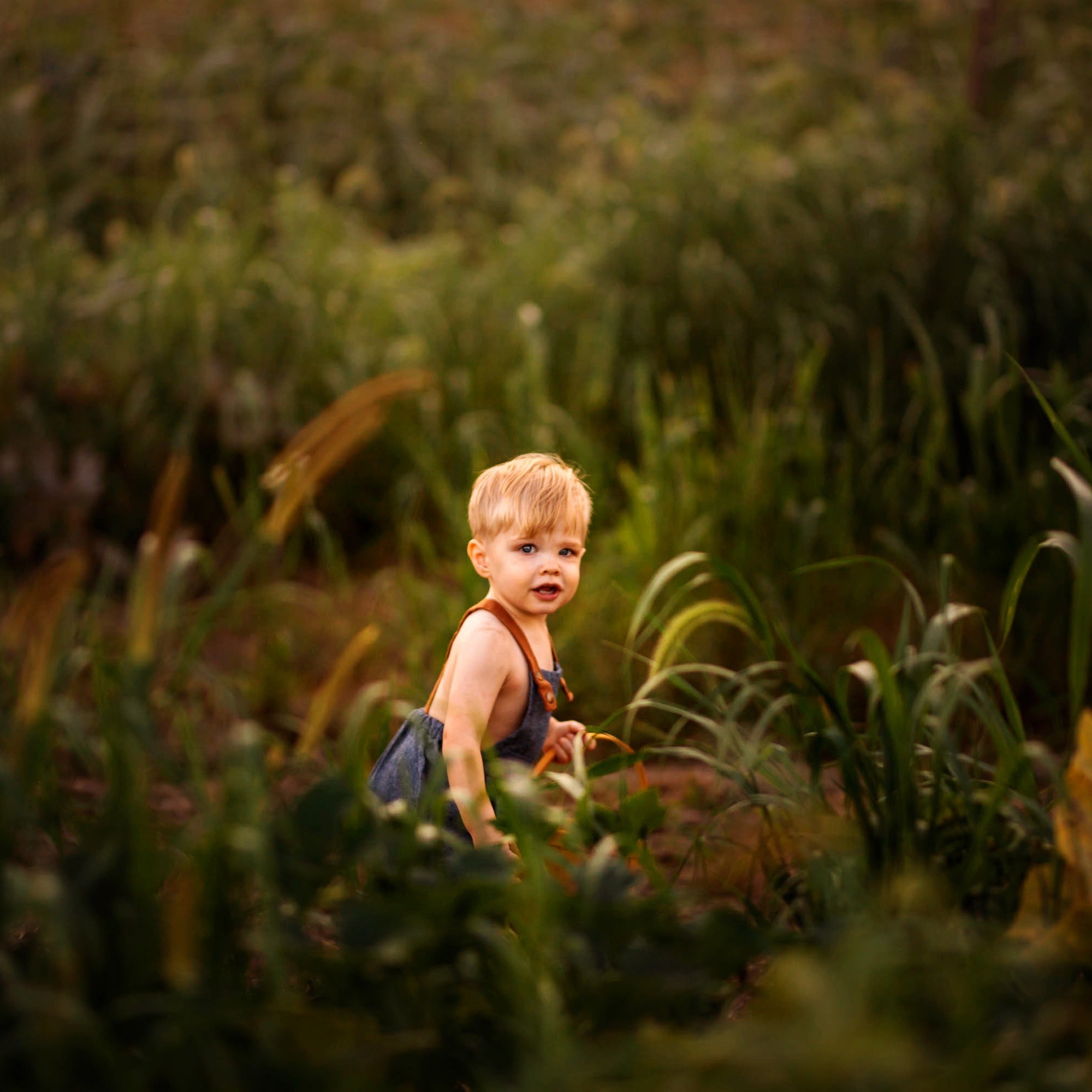 Close-up of a little boy's sweet face in a cornfield wearing chambray blue overalls - Handmade from repurposed linen fabric, these gender-neutral overalls are perfect for passing down. The breathable fabric ensures comfort while exploring the outdoors. Stylish pleats add elegance, and the durable leather-looking straps enhance visual appeal. Adjustable straps in two lengths provide a great fit, making these overalls a versatile and sustainable choice for active kids enjoying summer adventures.
