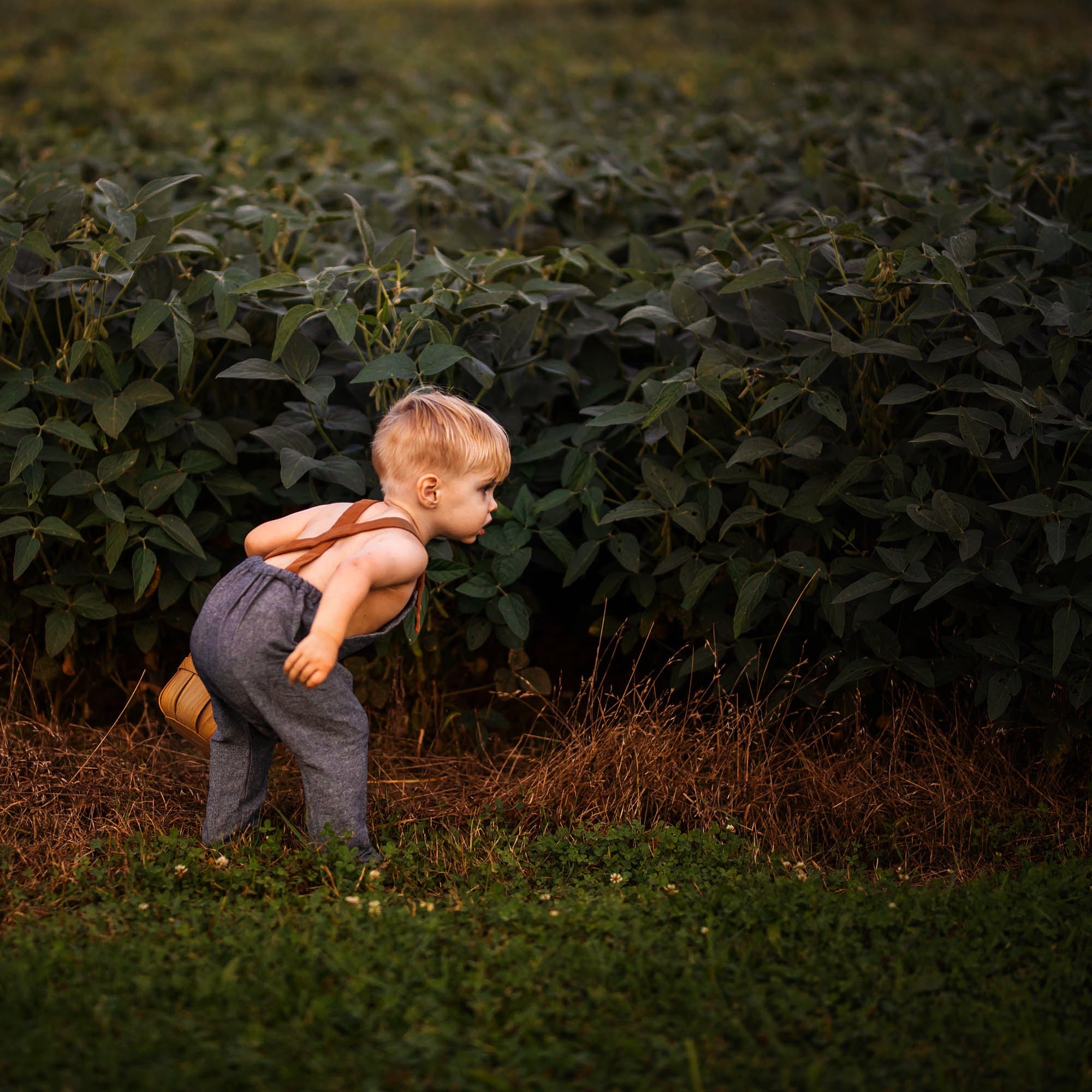 Chambray blue long overalls on a little boy model showcasing the back while playing in the summer - Handmade from repurposed linen fabric, these gender-neutral overalls are ideal for passing down. The breathable fabric ensures comfort, while stylish pleats add elegance. Durable leather-looking straps enhance visual appeal, and adjustable straps in two lengths provide a perfect fit. Unfoldable leg cuffs designed to grow with your little one make these overalls a practical and sustainable choice for active ki