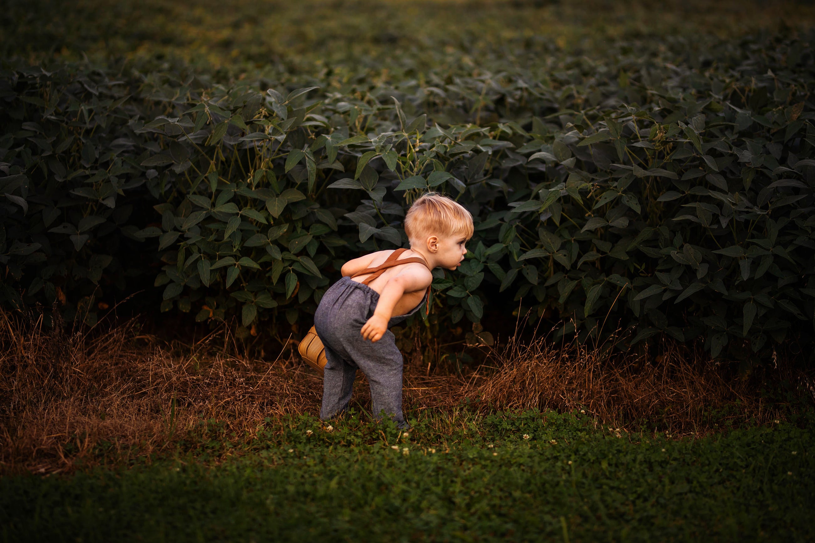 Chambray blue long overalls on a little boy model showcasing the back while playing in the summer - Handmade from repurposed linen fabric, these gender-neutral overalls are ideal for passing down. The breathable fabric ensures comfort, while stylish pleats add elegance. Durable leather-looking straps enhance visual appeal, and adjustable straps in two lengths provide a perfect fit. Unfoldable leg cuffs designed to grow with your little one make these overalls a practical and sustainable choice for active ki