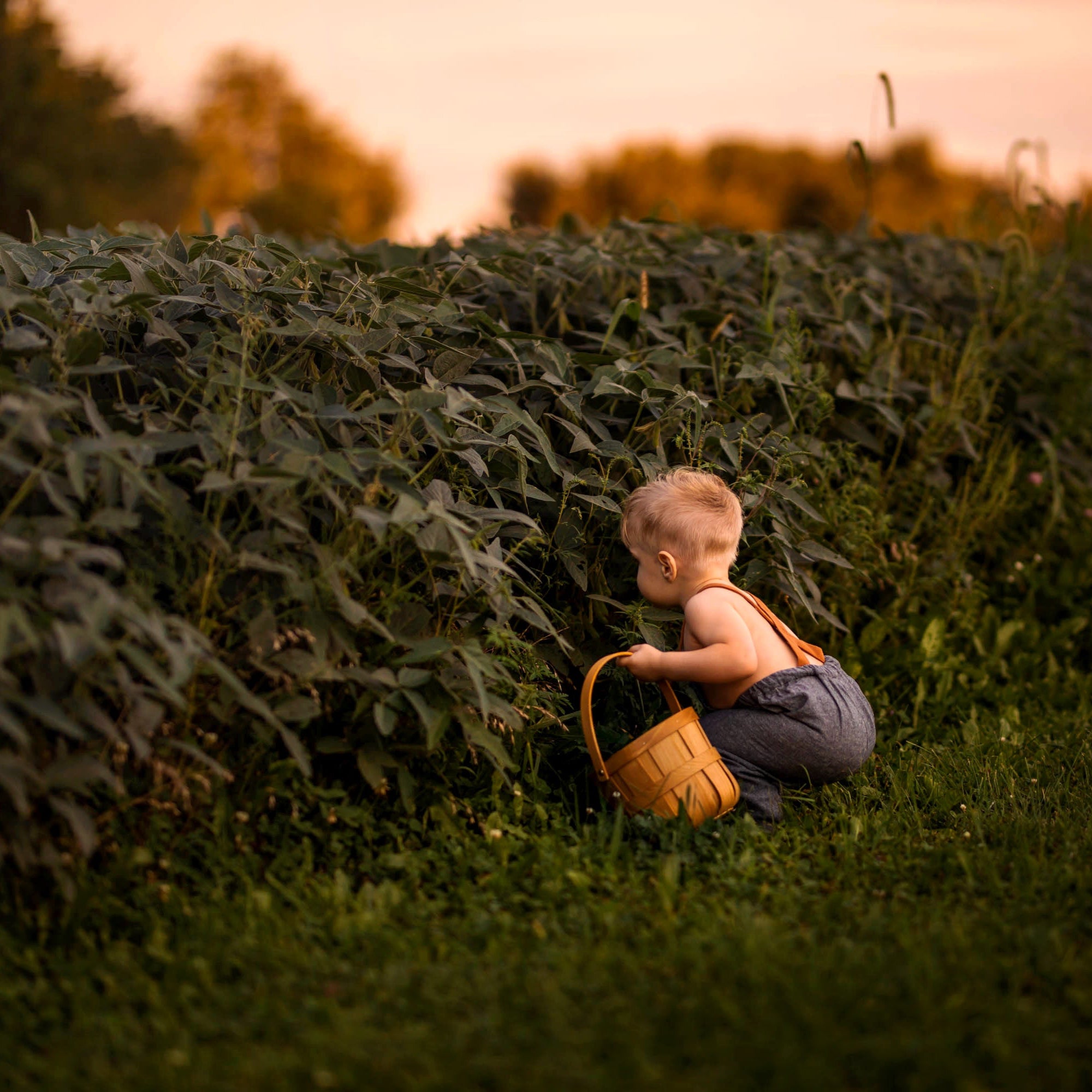 Model Squatting by Cornfield in Chambray Blue Linen Long Overalls: The model is captured squatting comfortably by a cornfield in the Chambray Blue Long Overalls, showcasing the adjustable straps for a perfect fit and the overall’s ability to keep up with little adventurers.