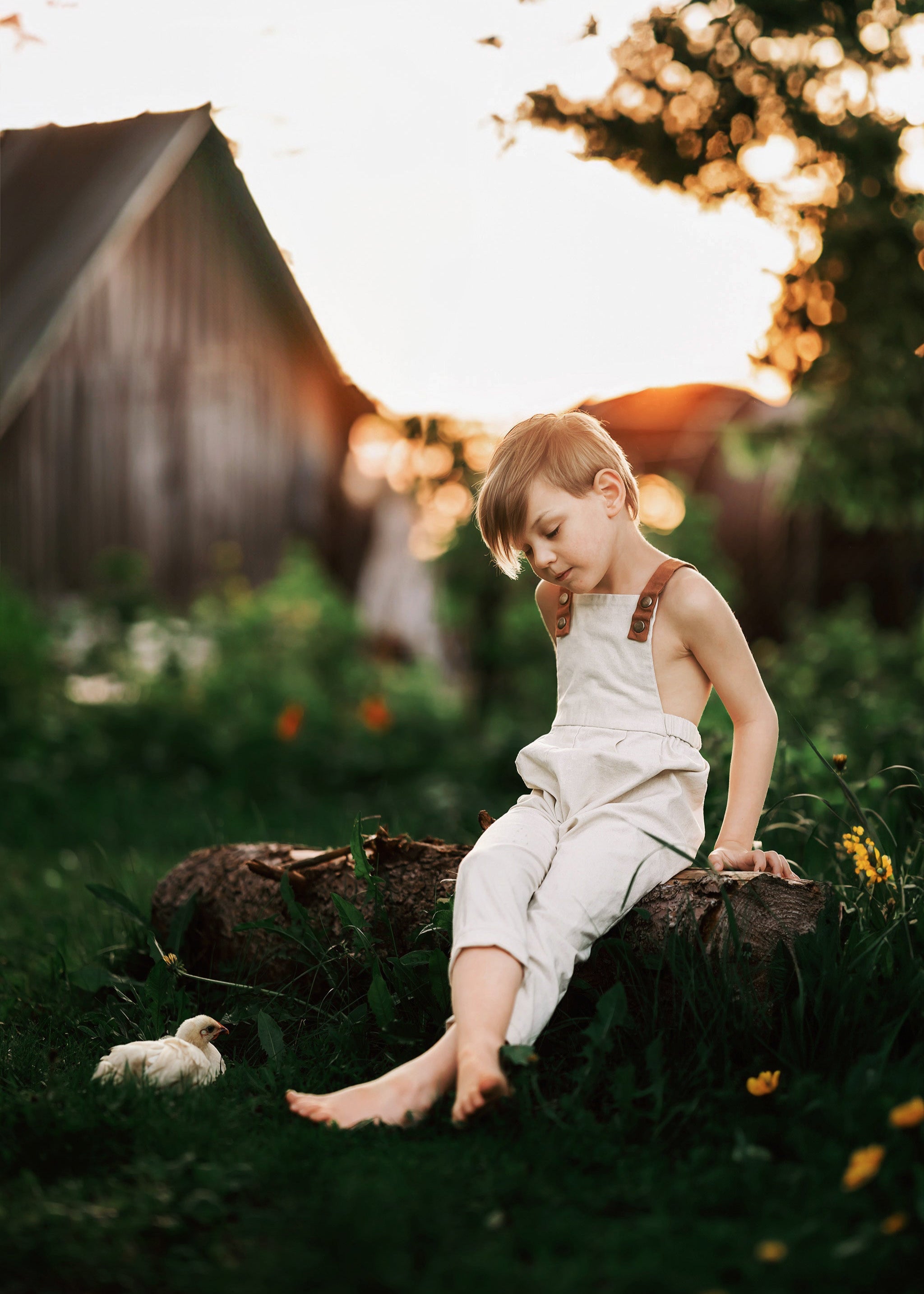 Child in white overalls sitting on a log in a garden with a barn in the background