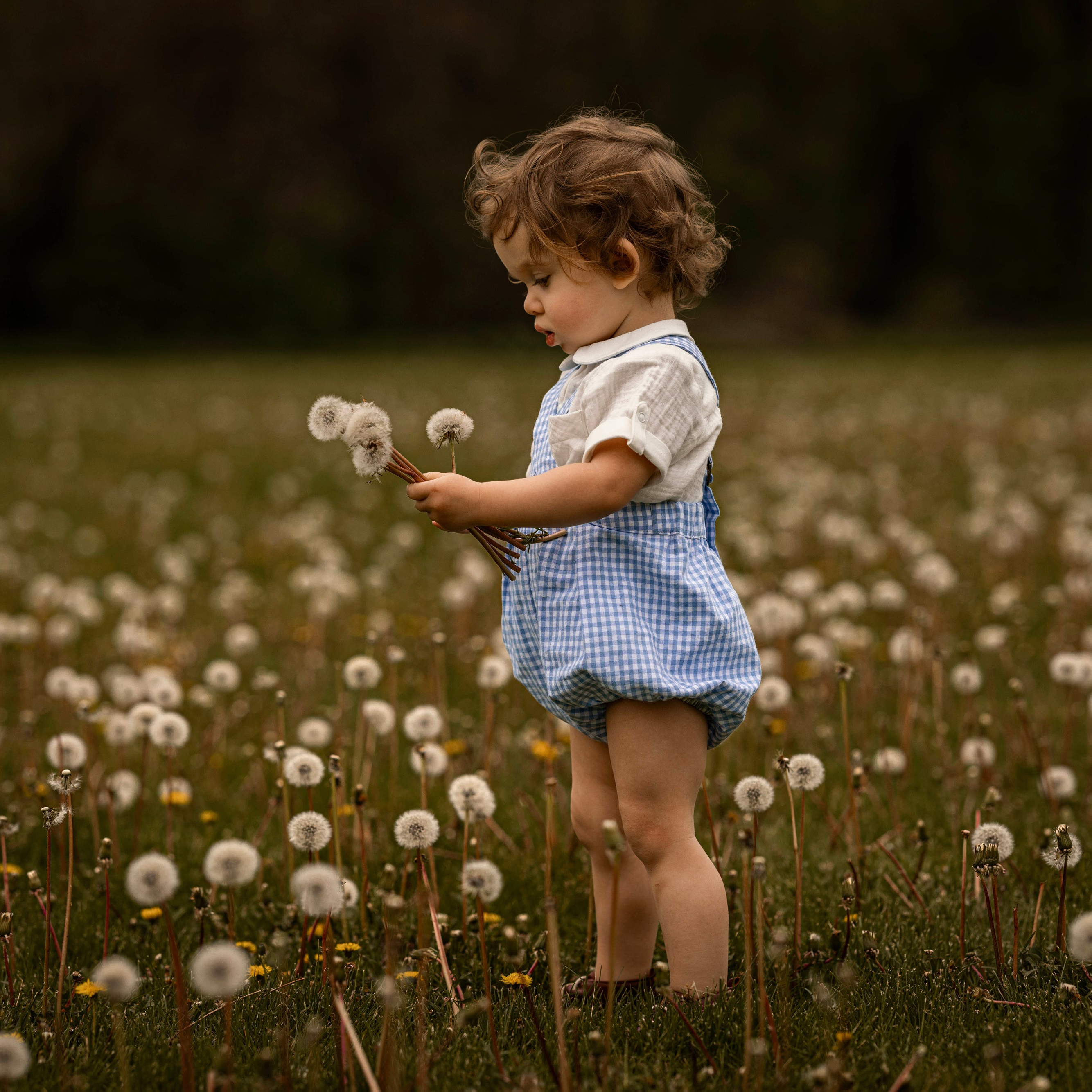 The Bluebell Romper + Poplar Shirt Set