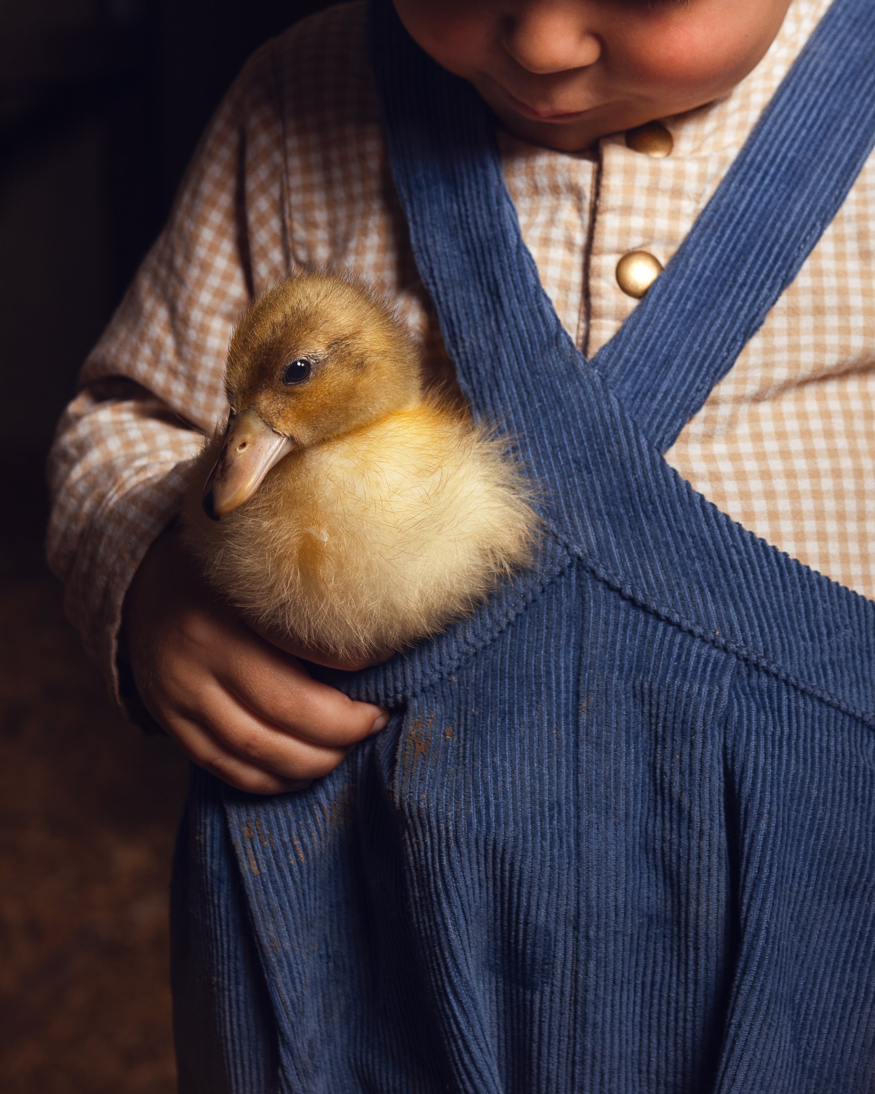 Child holding a duckling with a checkered shirt and blue overalls.