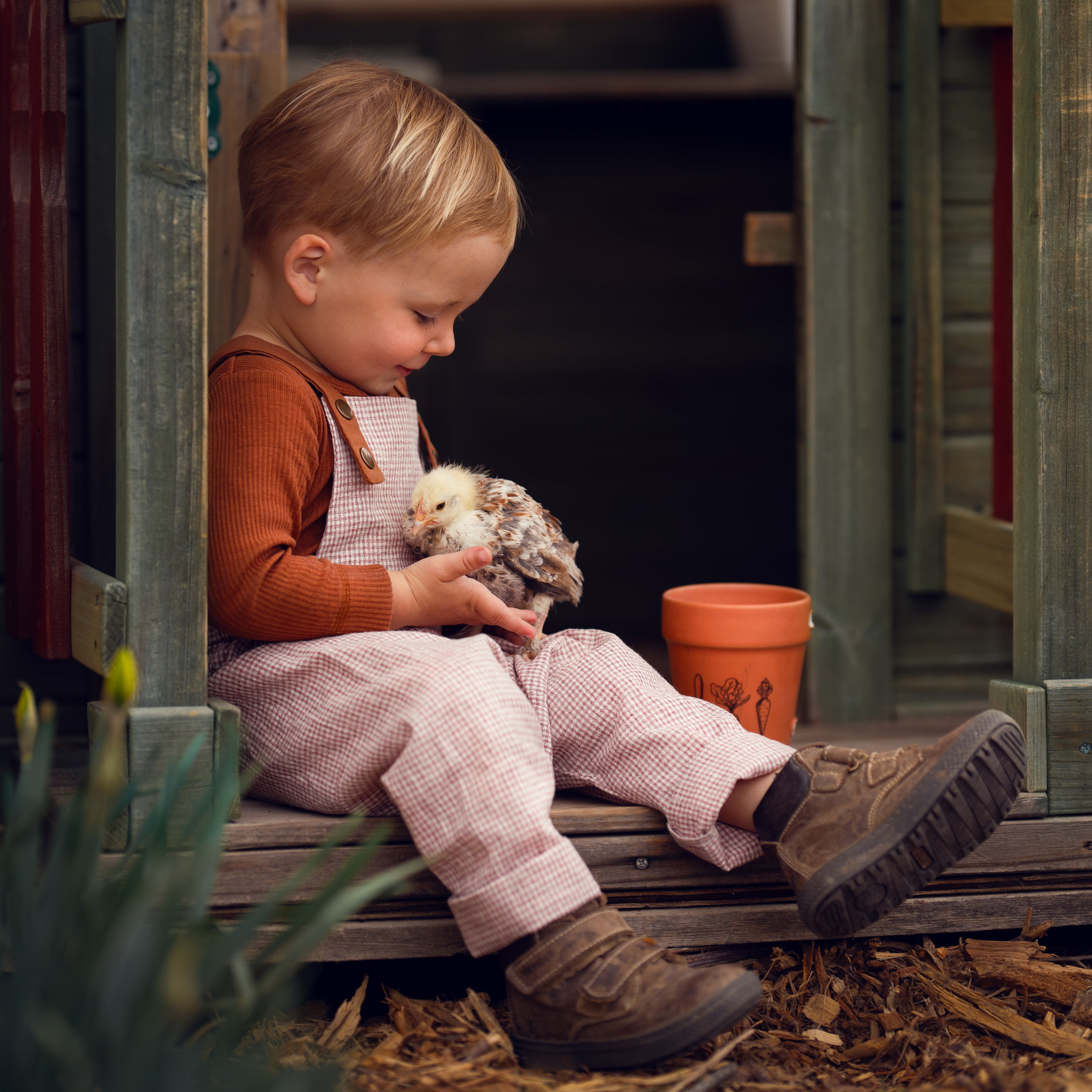 Little boy sitting in checkered brown and white linen overalls playing with chicks in a barn.