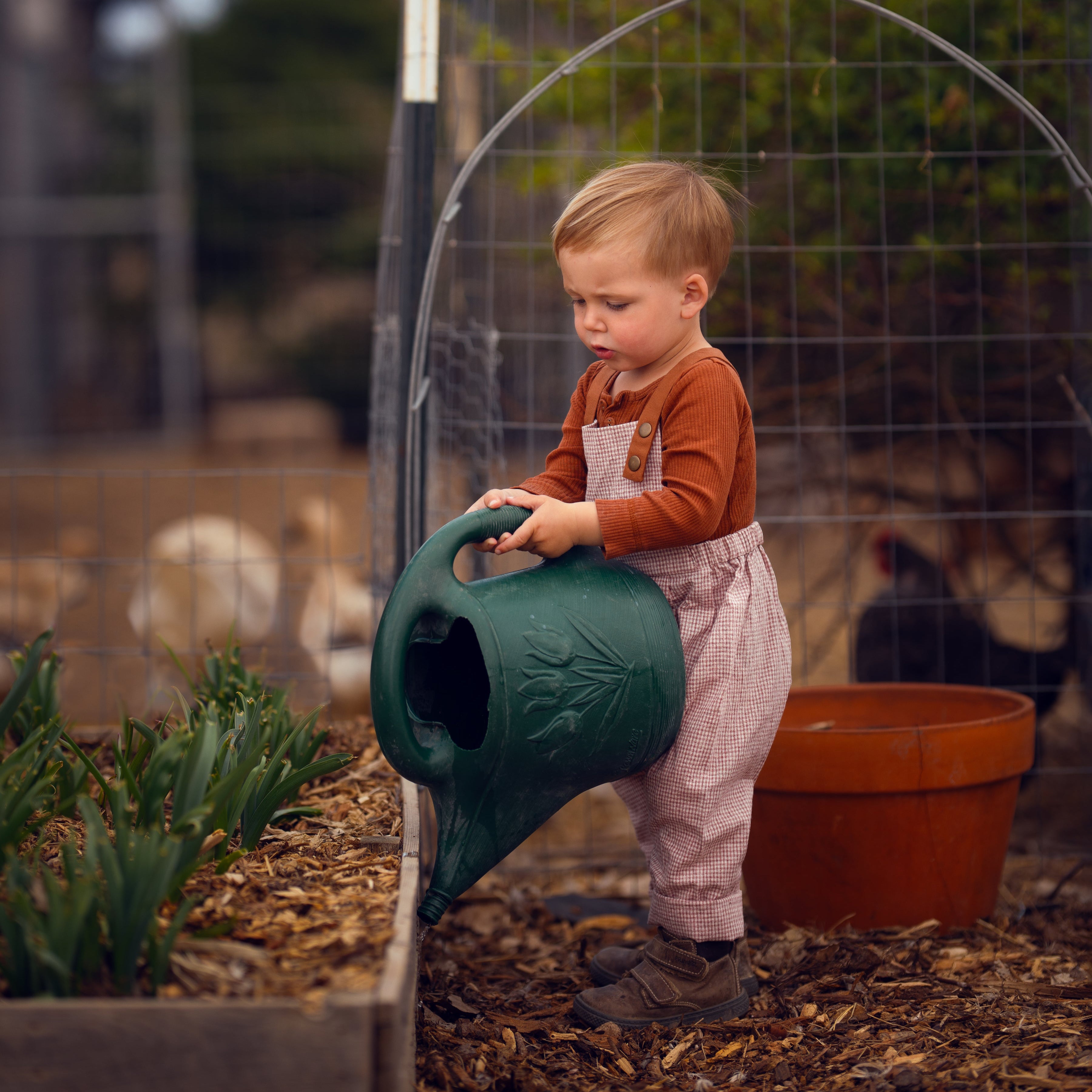 little boy in checkered overalls watering plants