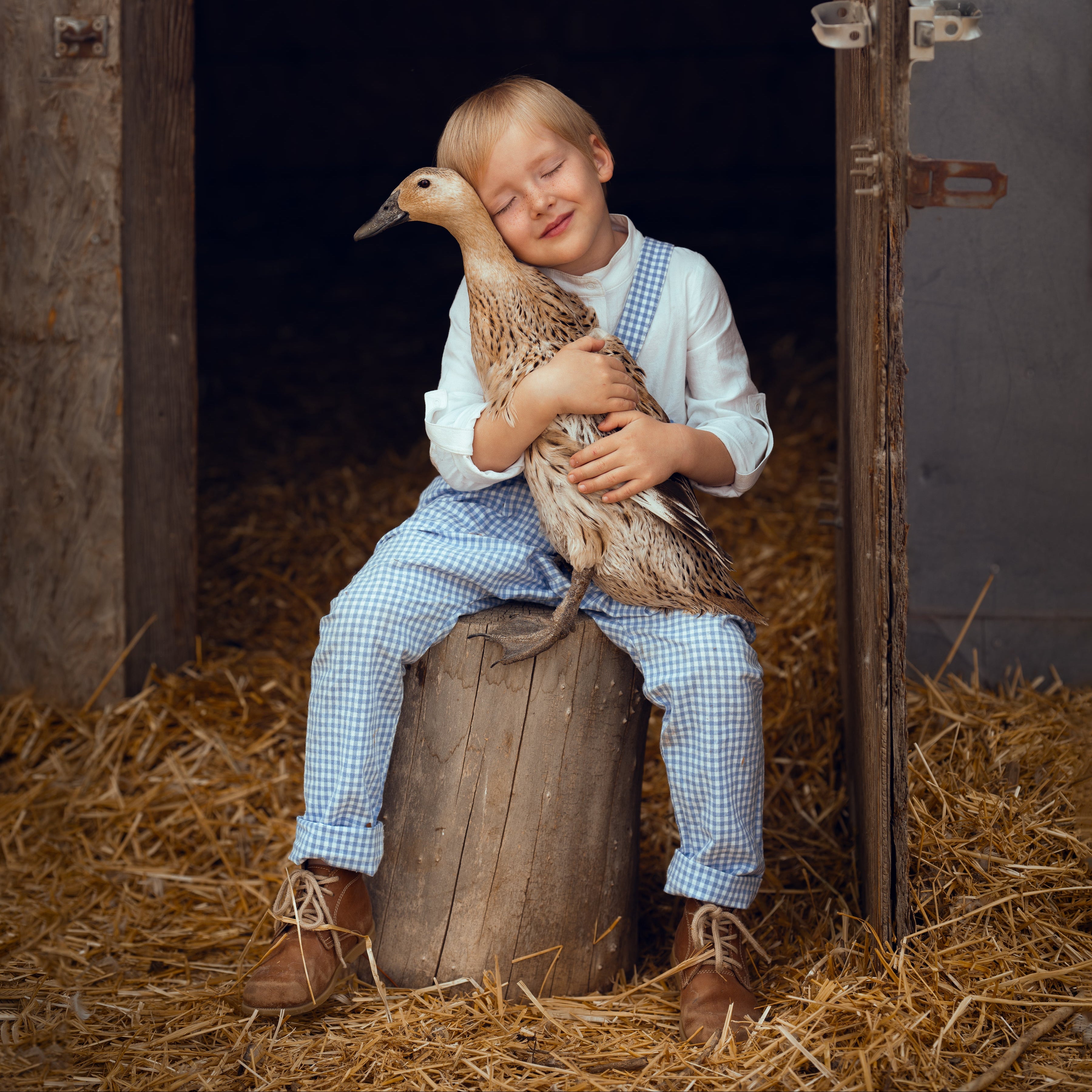 boy in blue gingham overalls holding a duck in front of a bran