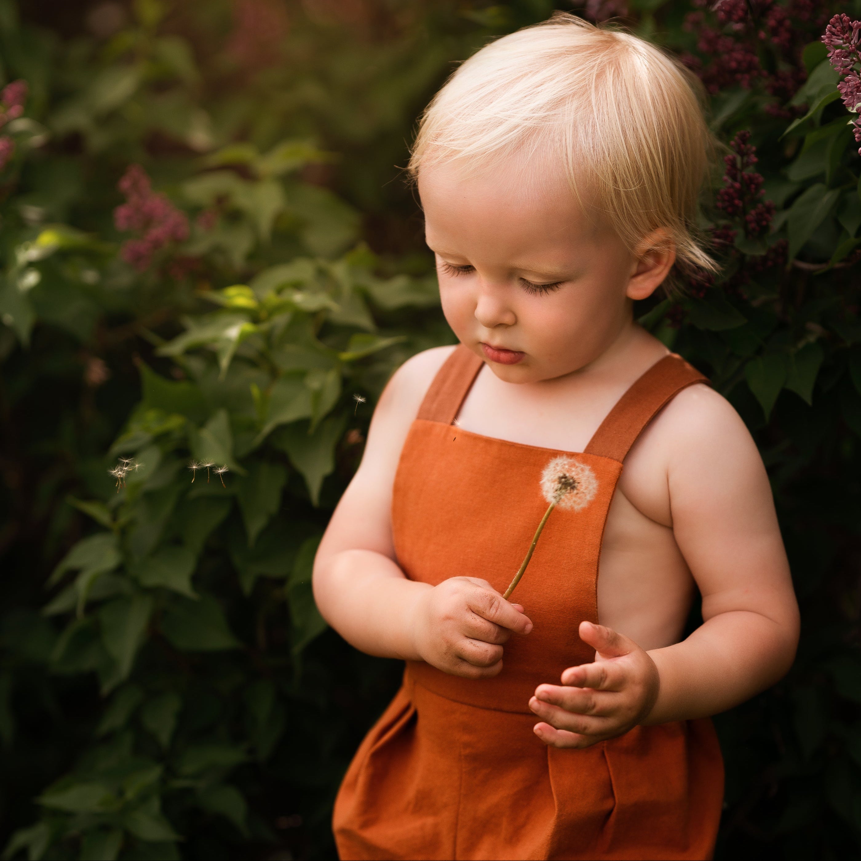 Model boy picking flowers with a clam sweet expression in Burnt Orange Short Overalls - This image highlights the boy’s comfort and showcases the details of the stylish design of the shortalls.