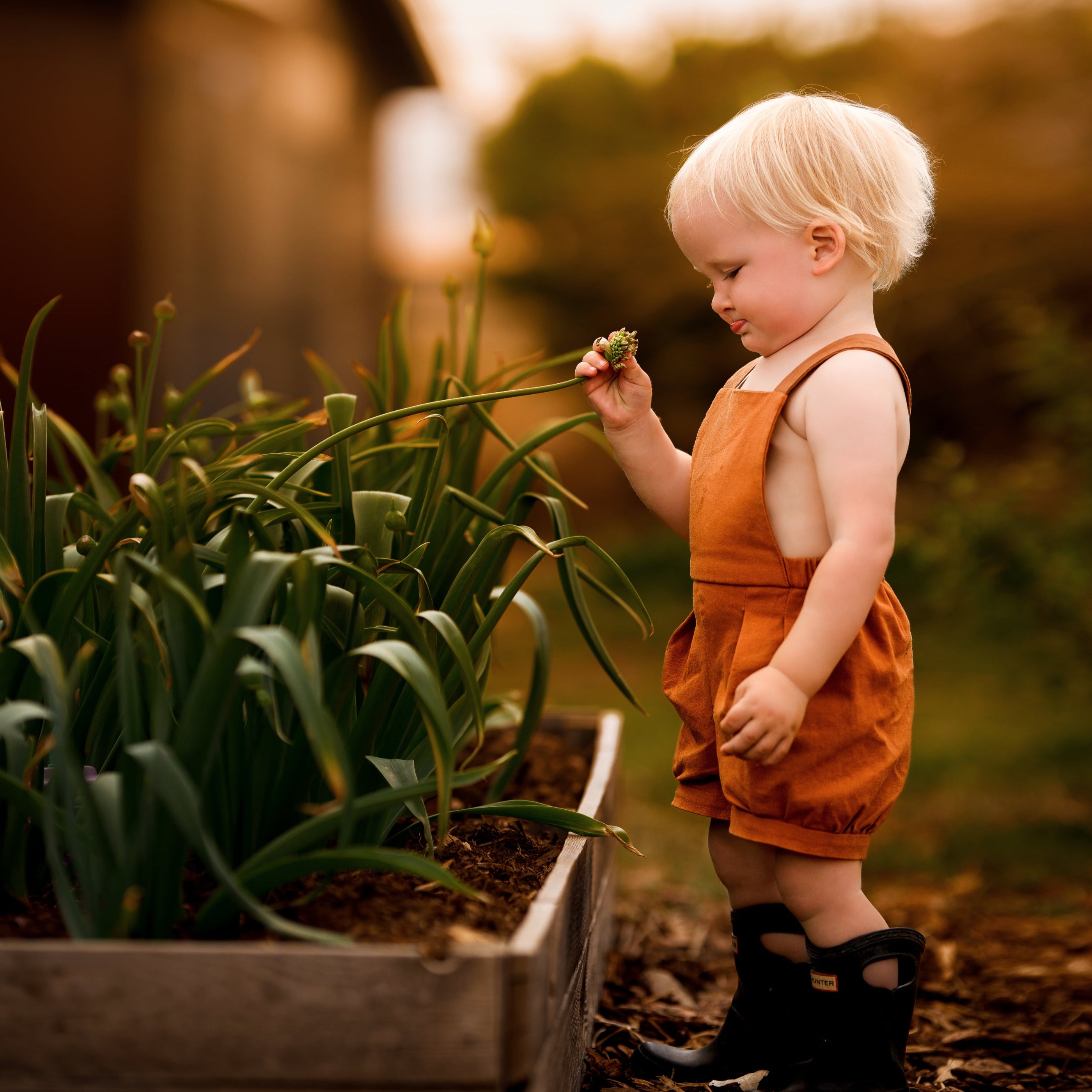 Model boy picking flowers in Burnt Orange Short Overalls - This playful image features the boy engaged in a fun activity, showcasing the comfort and style of the shortalls in a natural setting.