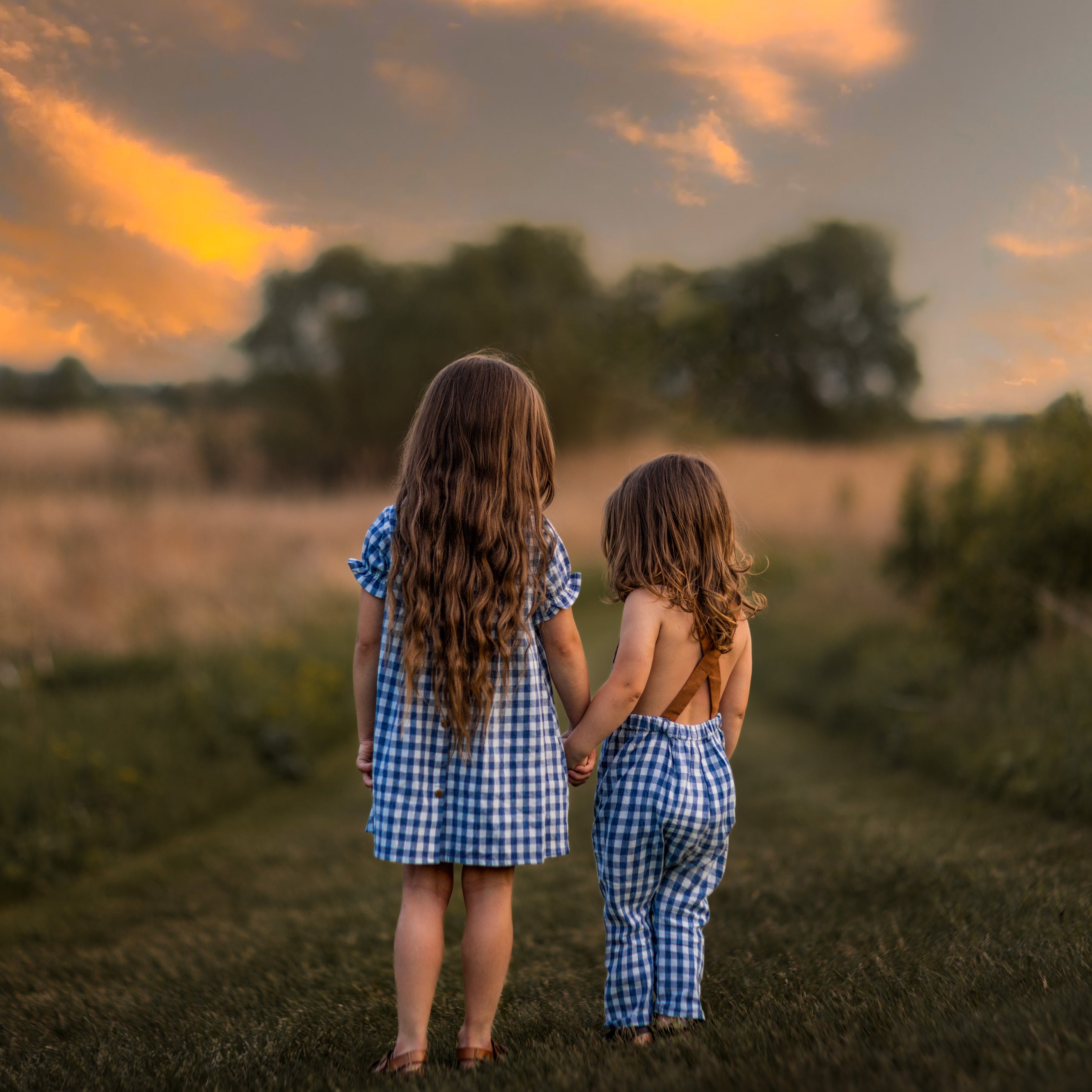 A little girl and her brother stand hand in hand, both dressed in matching Blue Gingham outfits. The girl wears a Blue Gingham linen dress, showcasing its charming pin-tucked front and delicate ruffles at the short sleeve hem. Her brother sports matching blue gingham overalls, creating an adorable twinning look. Together, they share a joyful moment, surrounded by a beautiful outdoor setting that complements their coordinated outfits.
