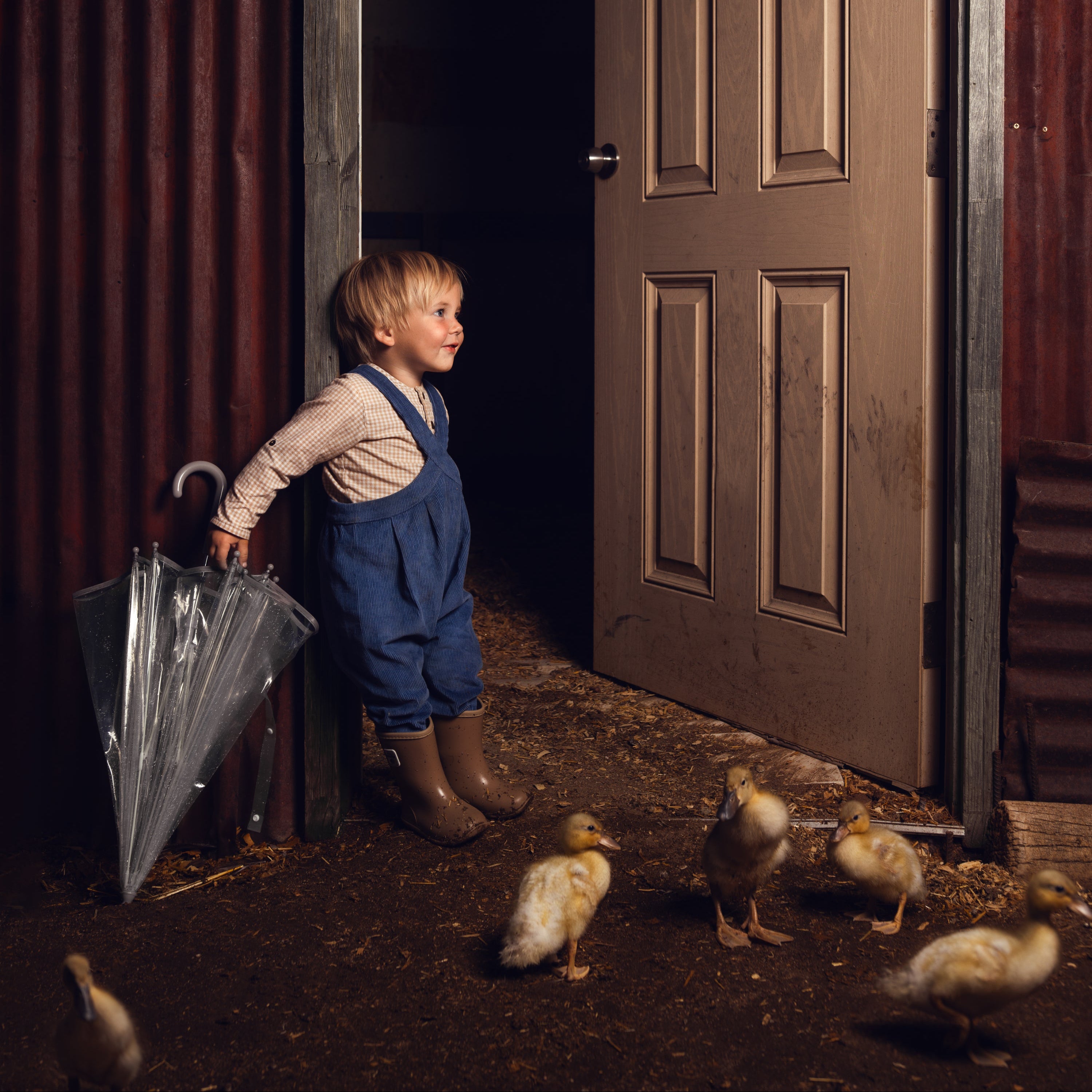 Child in overalls standing in a doorway with ducks on the ground