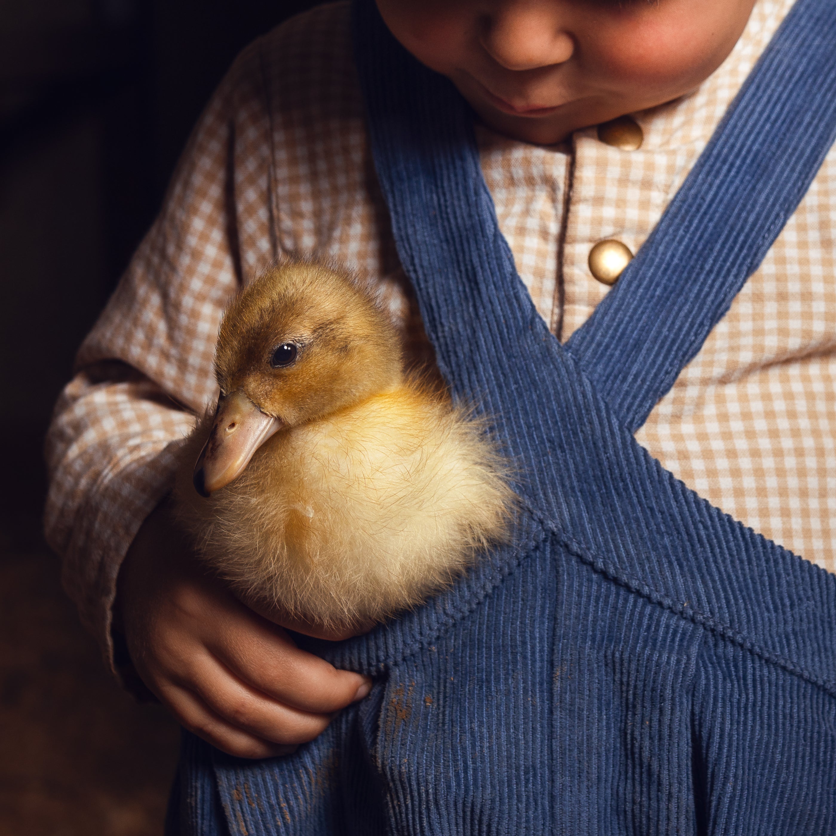 Child holding a duckling with a checkered shirt and blue overalls.