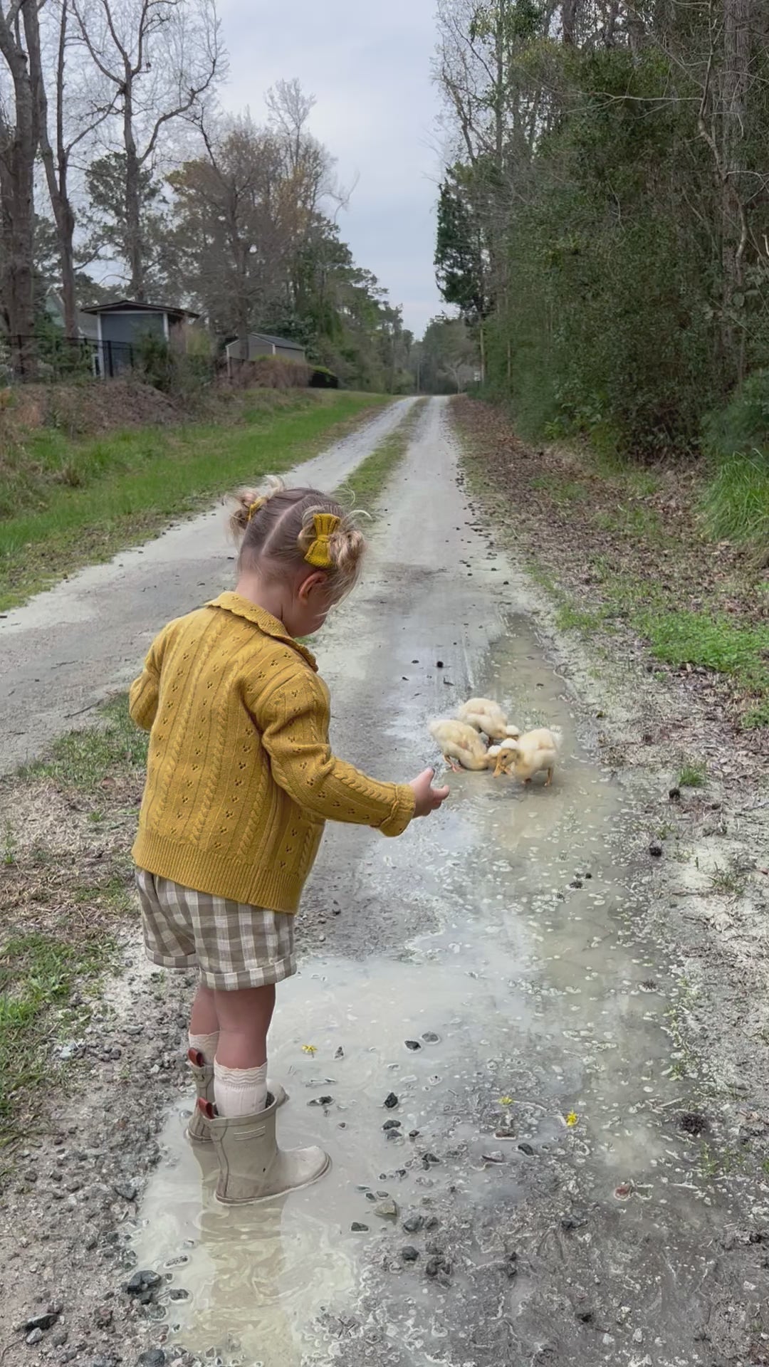 Video of a girl wearing the Grow-With-Me Romper in Beige Gingham, joyfully playing with ducks in a rain puddle, showcasing the romper's playful design and durability as she splashes in the water, capturing the essence of childhood fun and exploration in a lively outdoor setting.