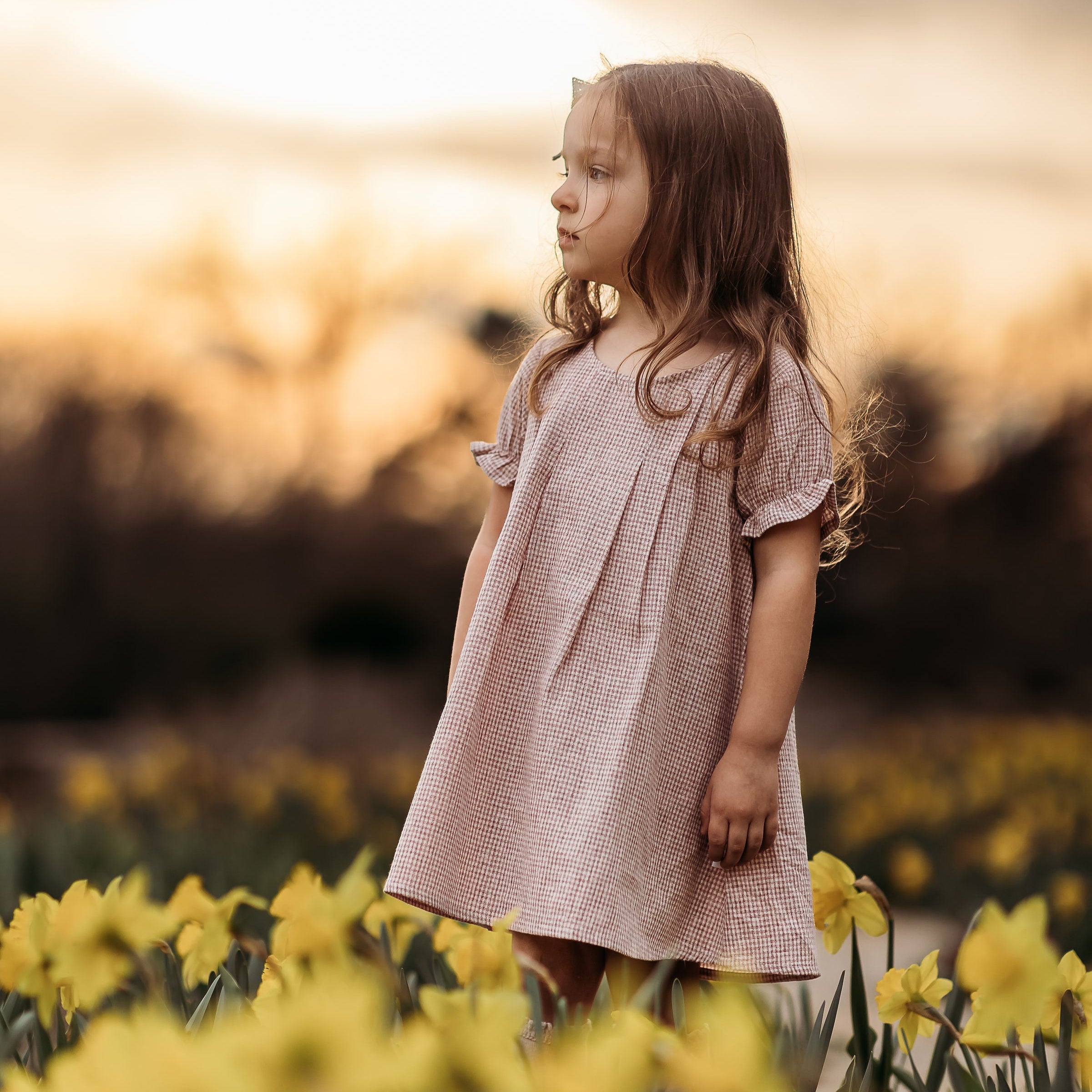 Rust Gingham Short Sleeve Dress
